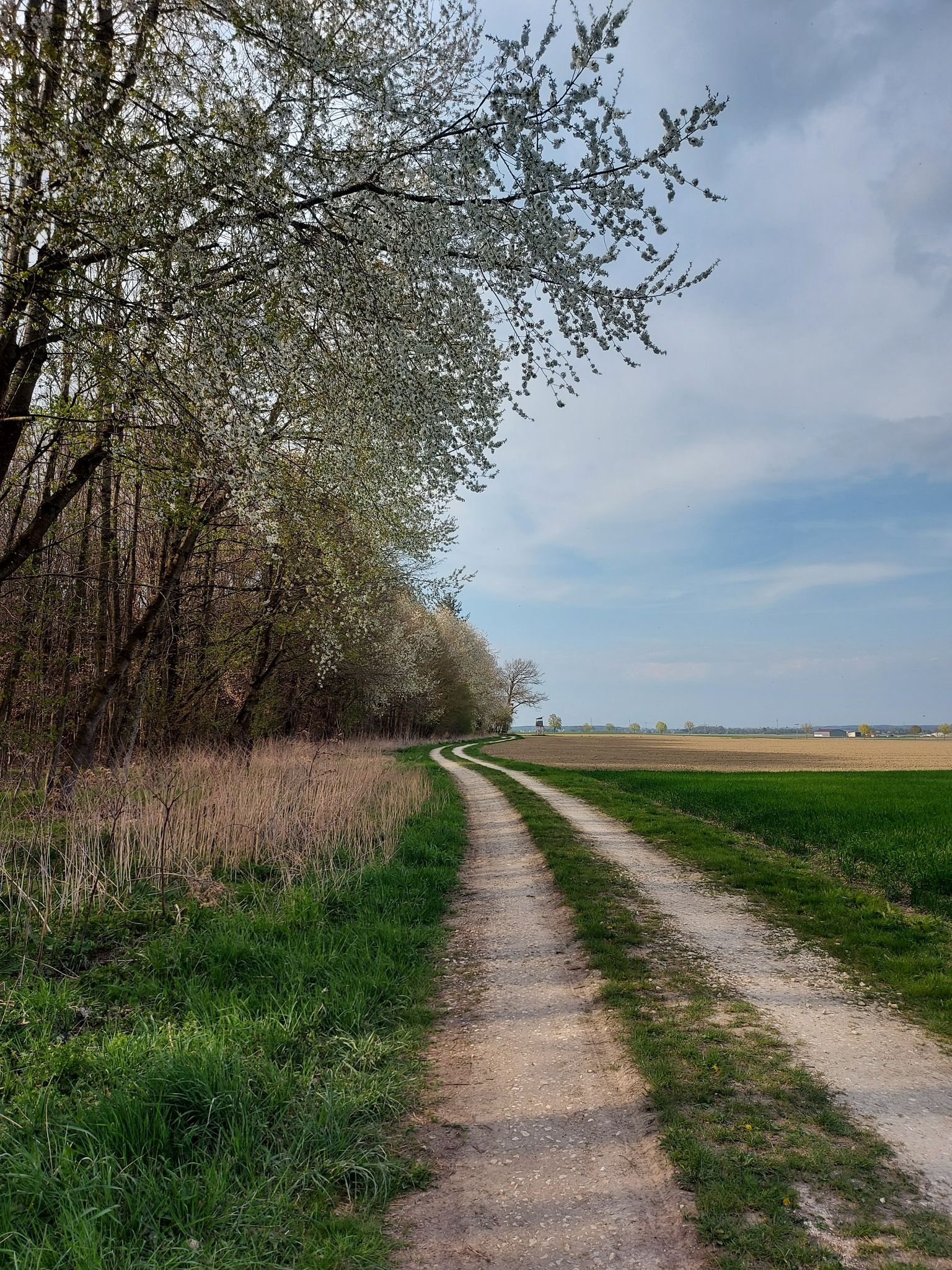 Richtung Rieden