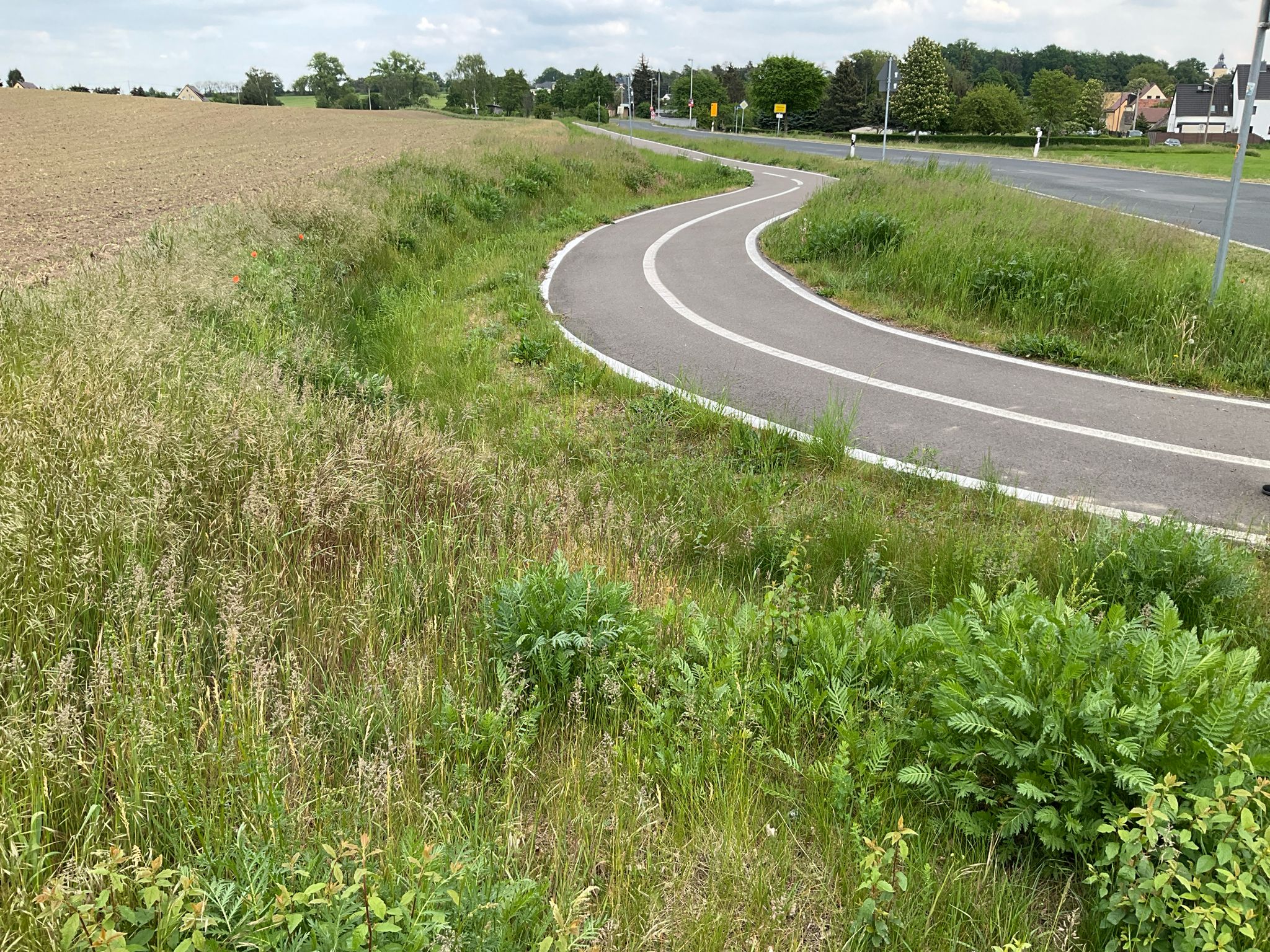 ich stehe direkt auf der ehemaligen Bahntrasse der Schmalspurbahn auf der nun ab hier der Weg führt