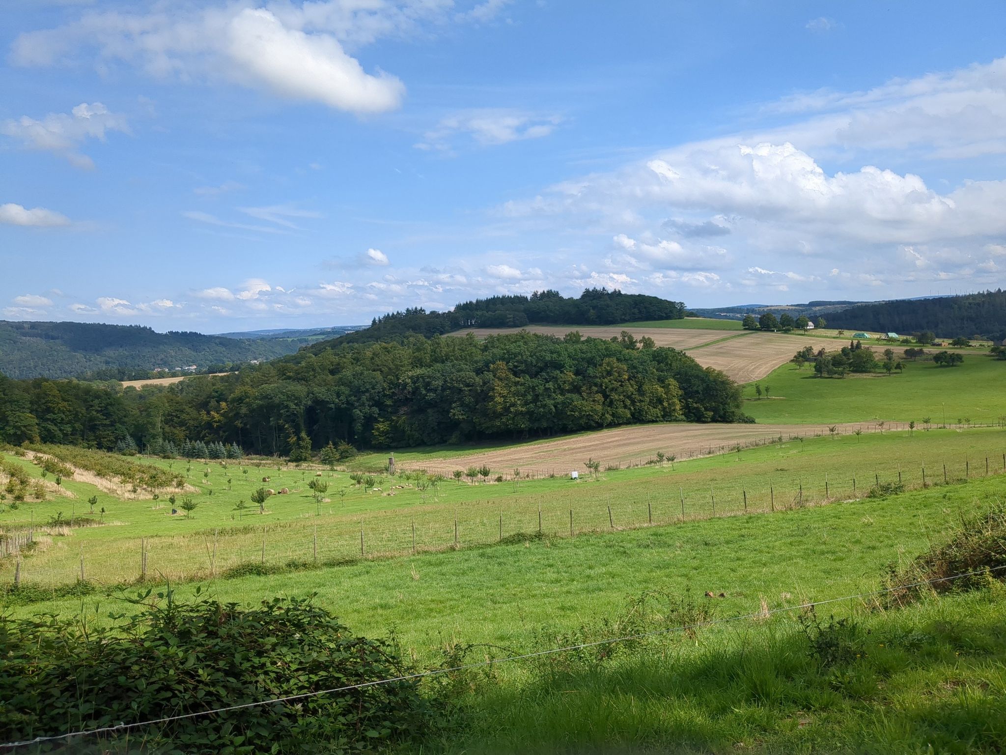 Misselberg