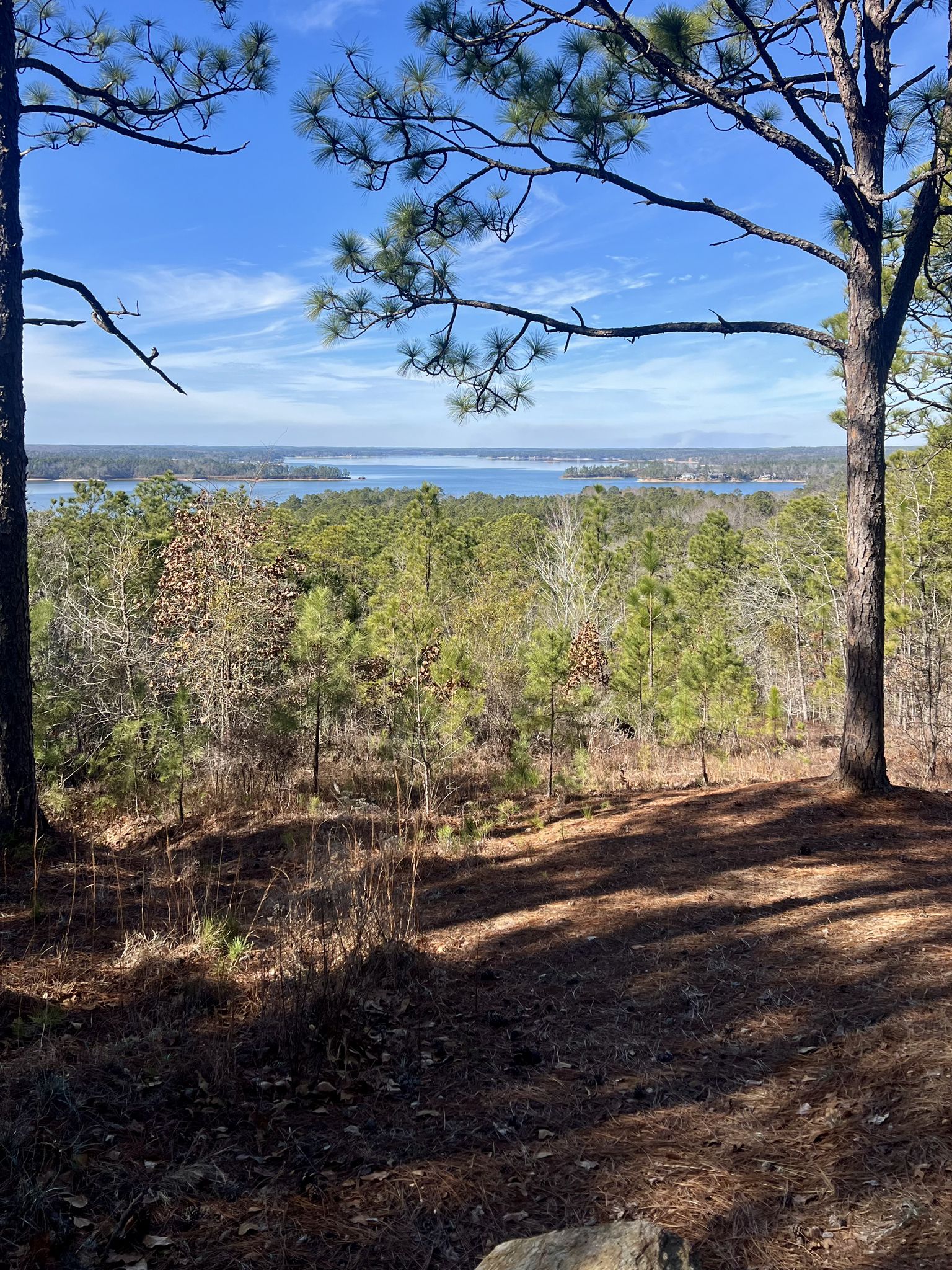Elevated view of a distant lake through a sunlit forest, casting shadows. - Cherokee Ridge Alpine Trail