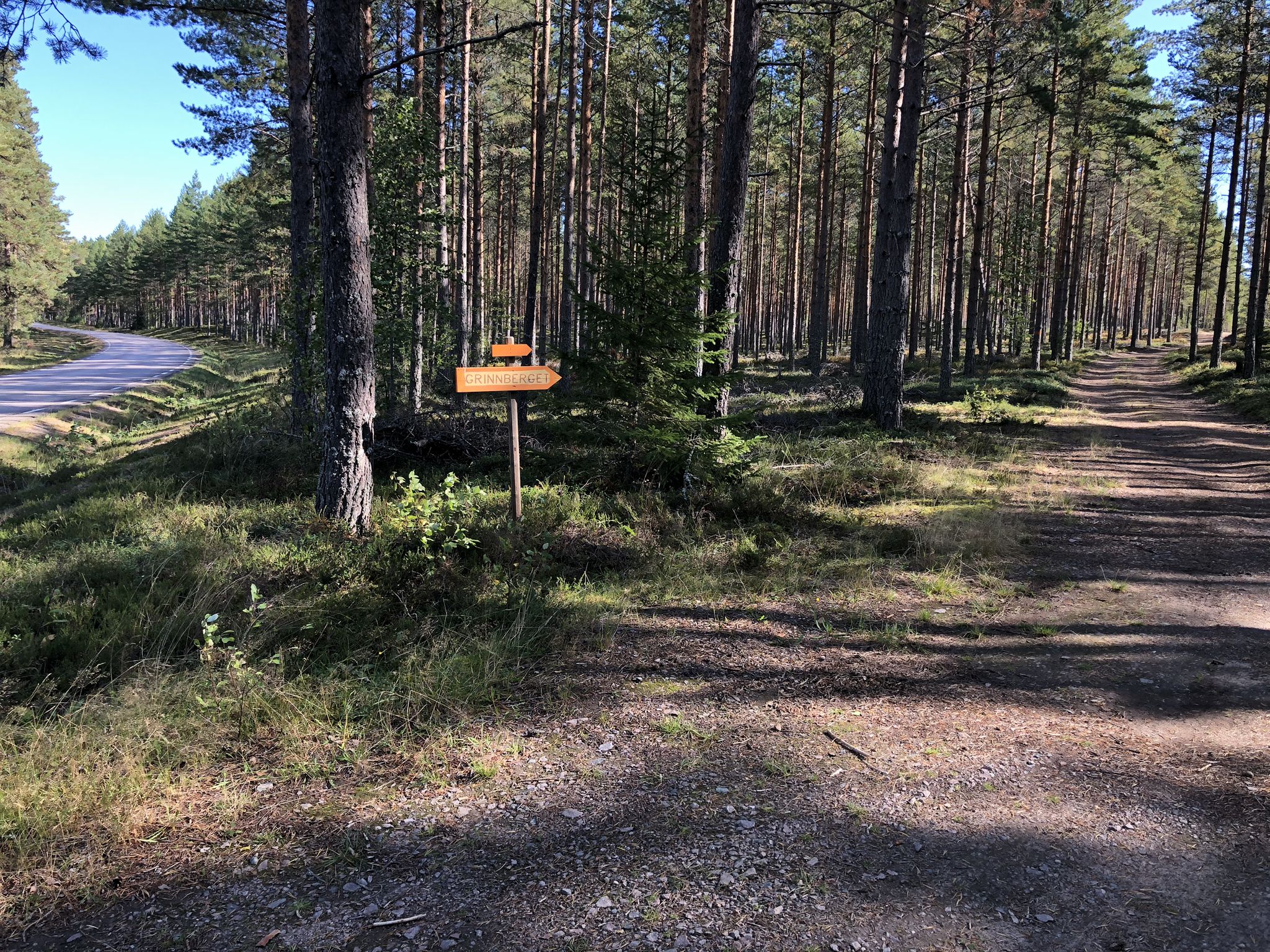 Entry to the forest