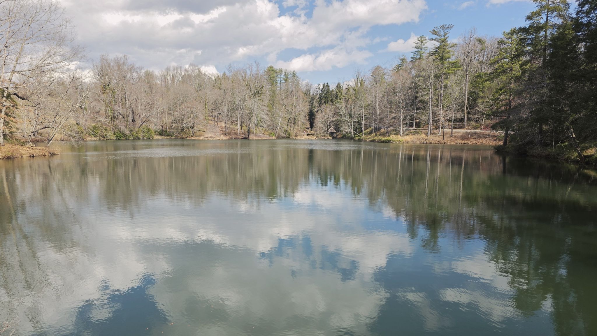 Calm lake reflecting cloudy sky, surrounded by bare winter trees. - Biltmore Estate Path loop