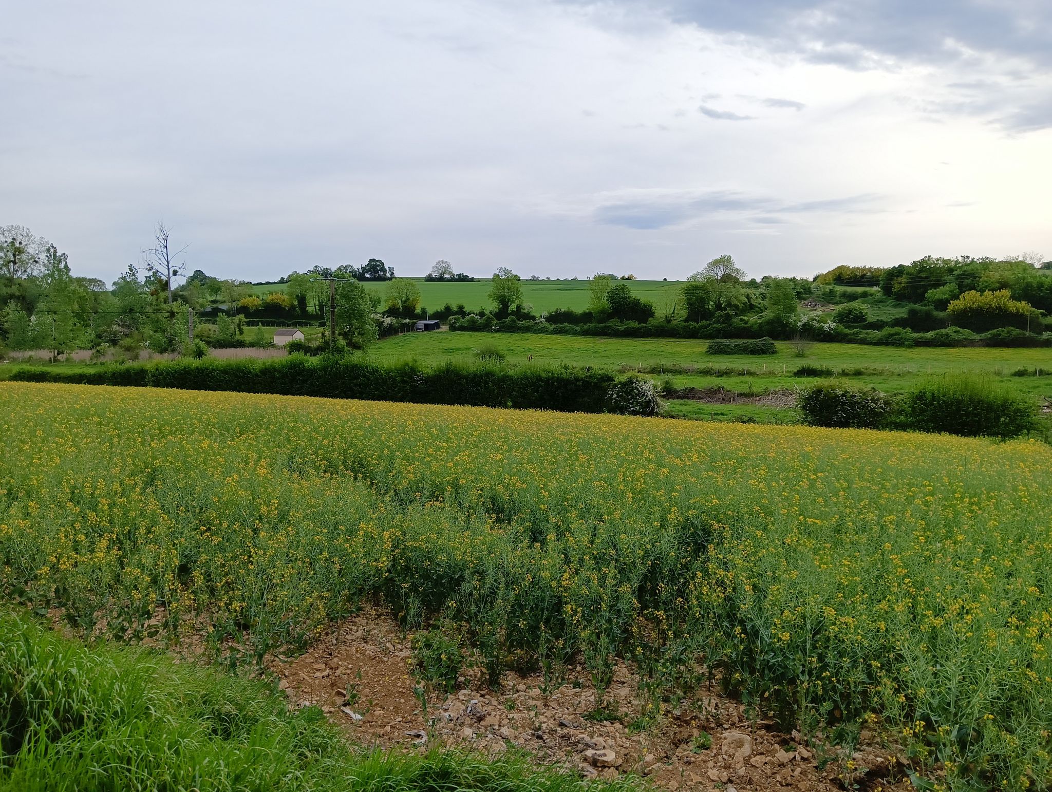 campagne
