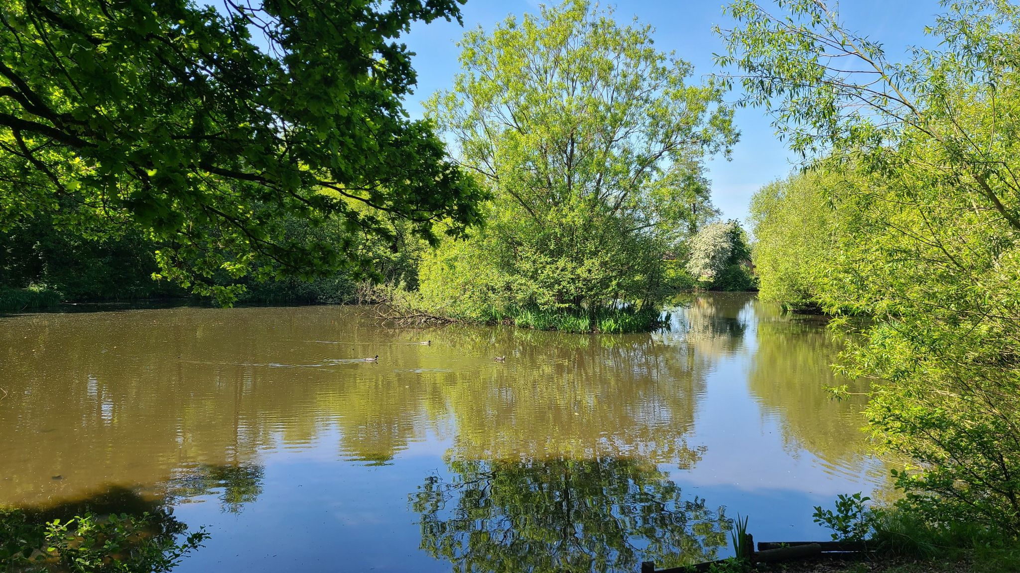 Longbarn Park Pond