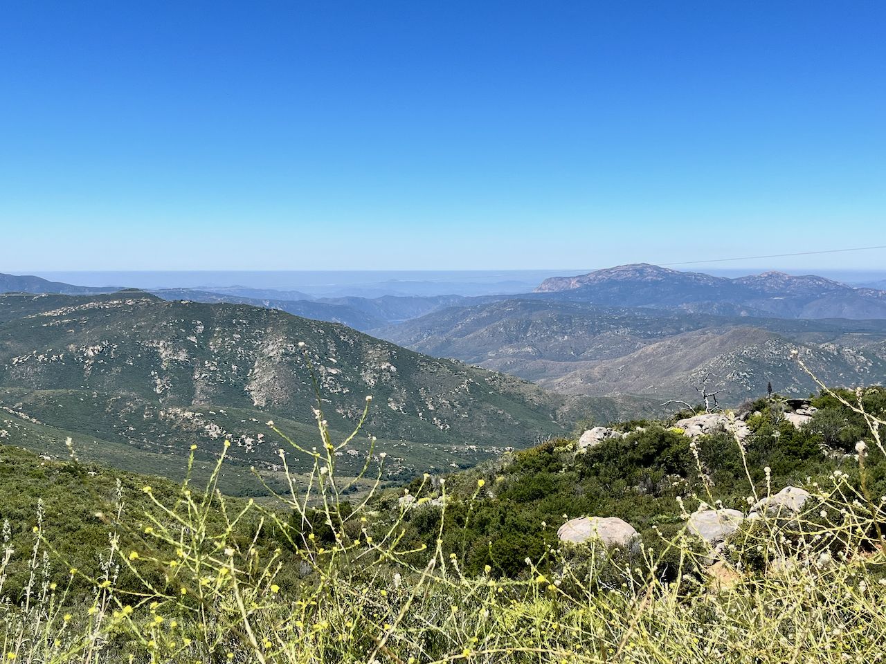 Expansive mountain vista with green valleys and foreground plants under clear sky. - Boulder Creek Road
