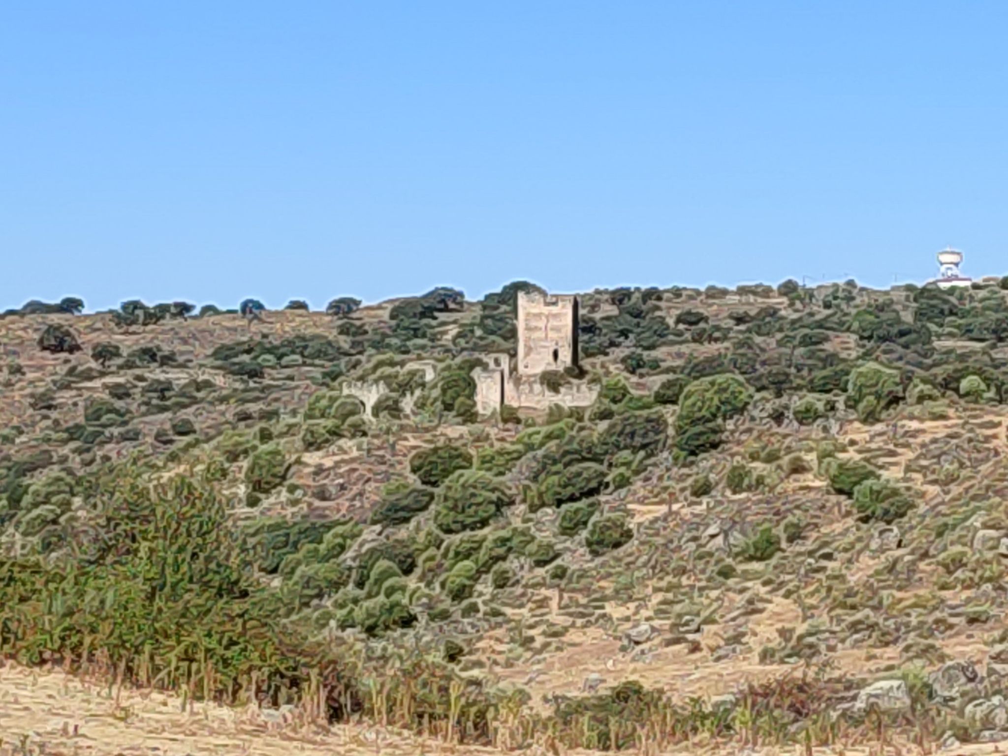 castillo Peña Fiel
