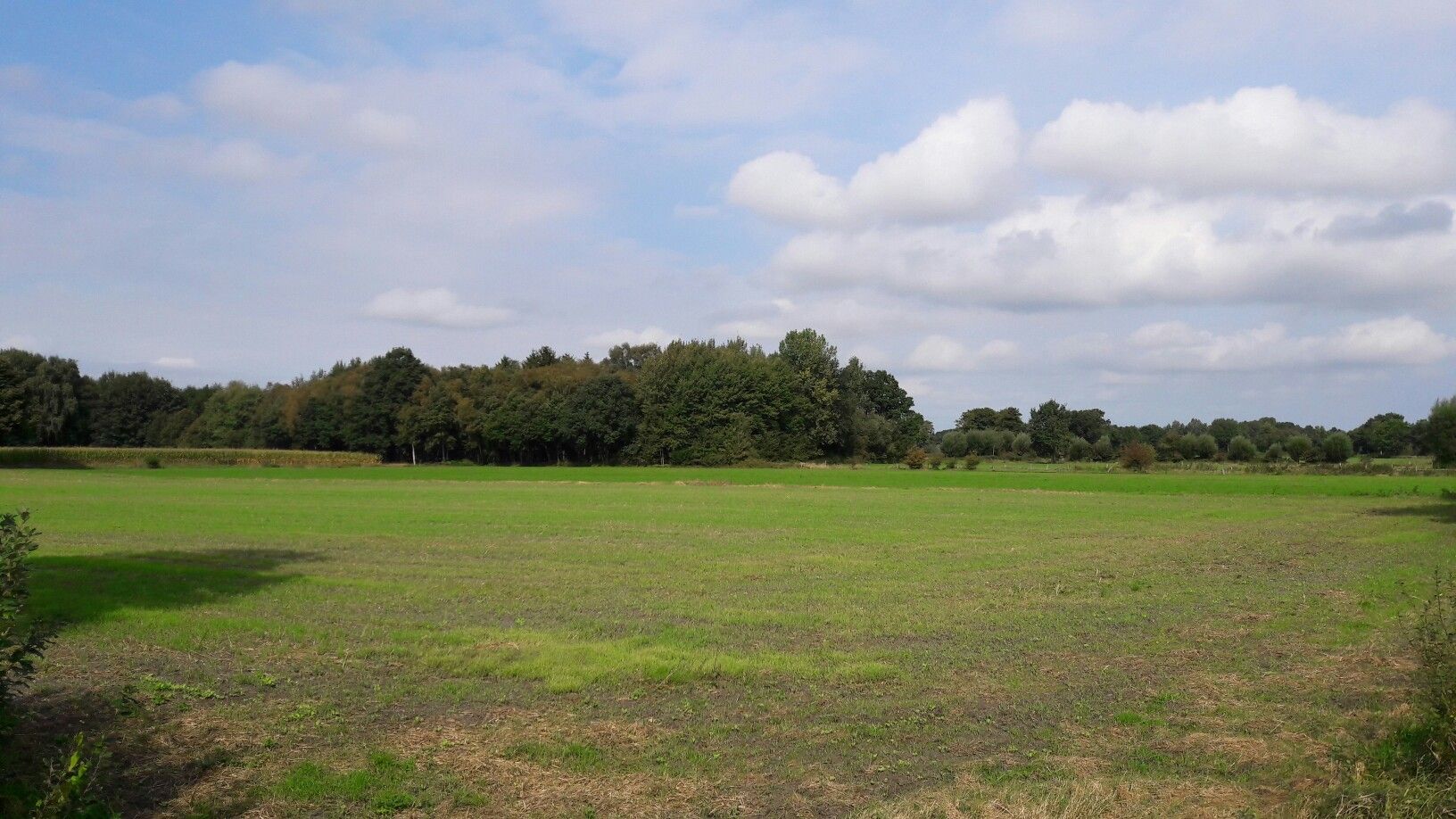 Die Landschaft