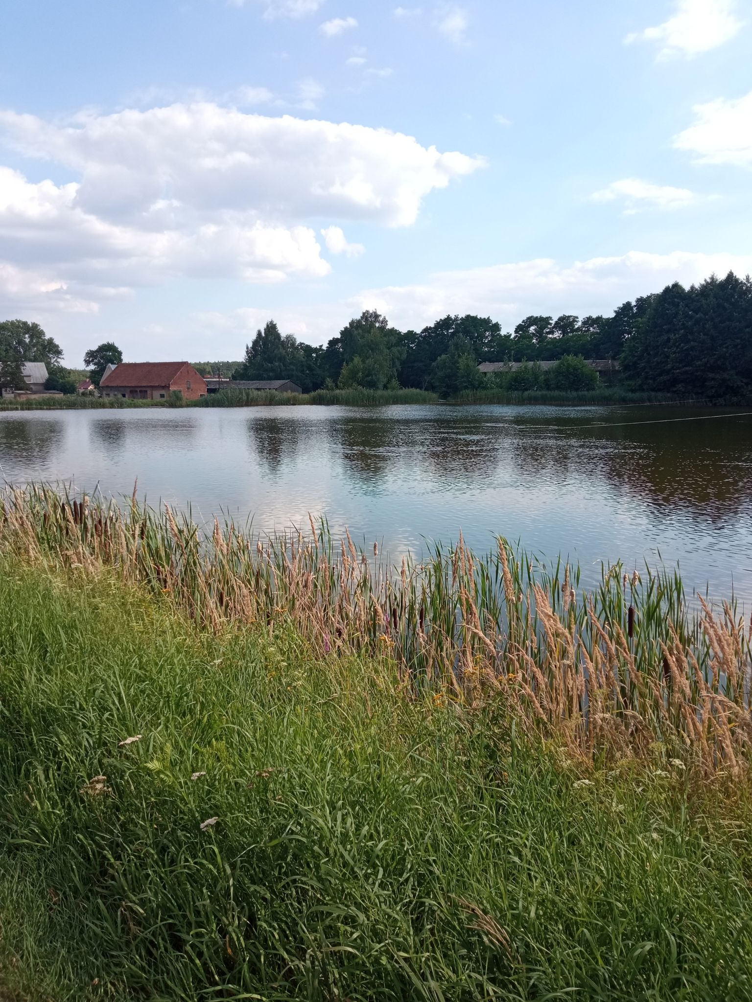 stawy Królewskie