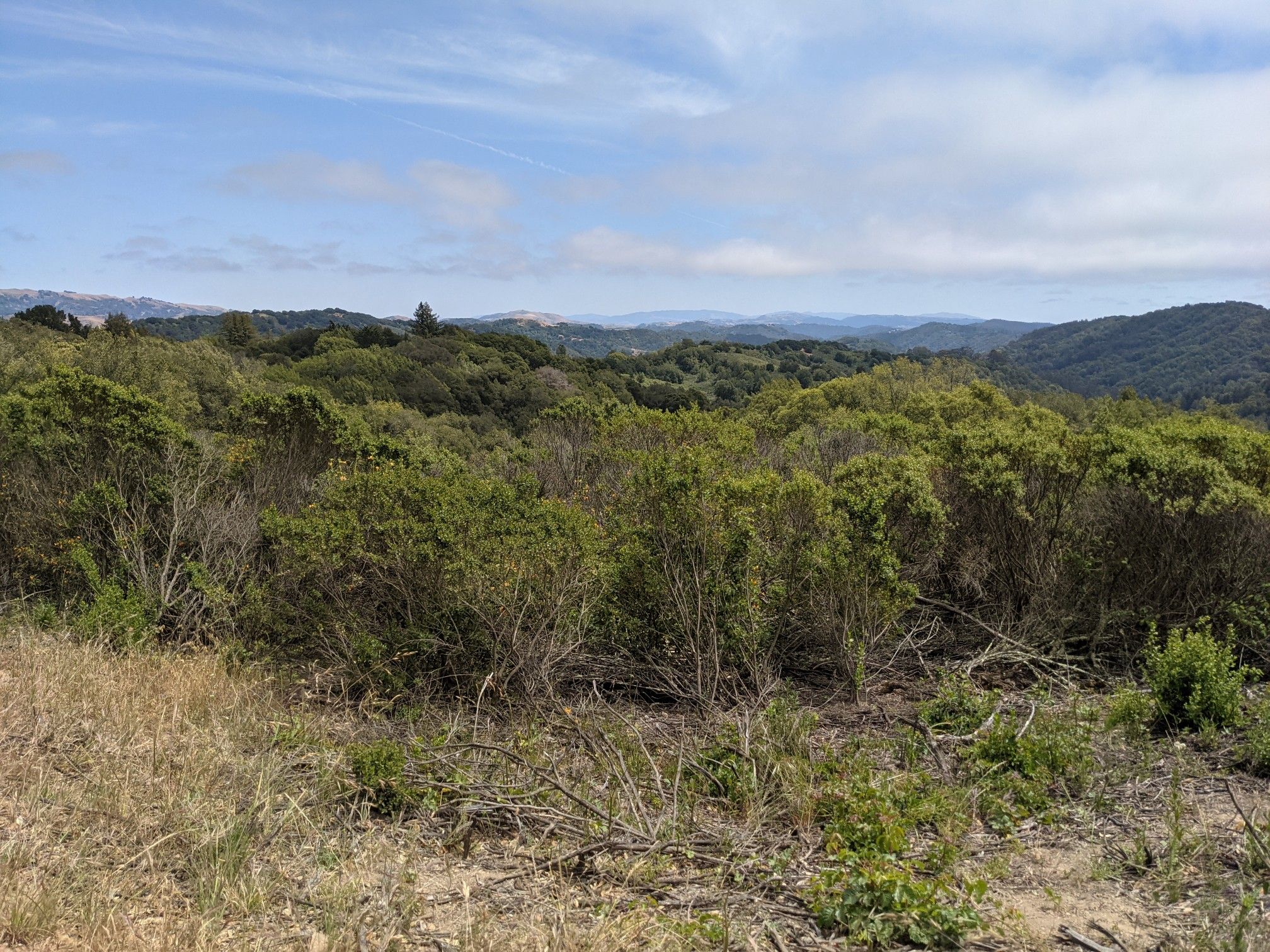 Expansive view of green, shrub-covered hills under a partly cloudy sky. - East Ridge, Prince, and Stream Trail Loop