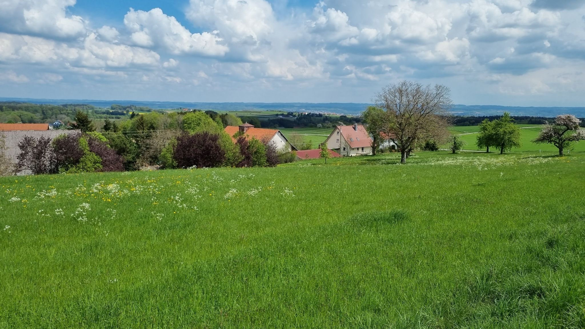 Schussental