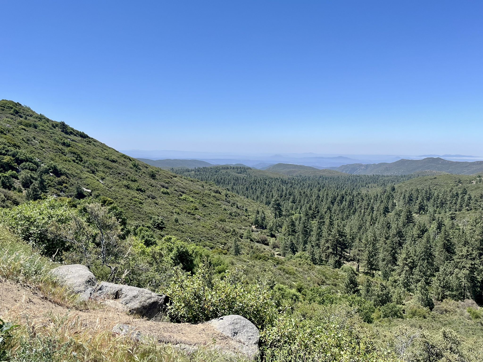 Expansive view of green forested mountains and valleys under a clear blue sky. - Wooded Hill Loop