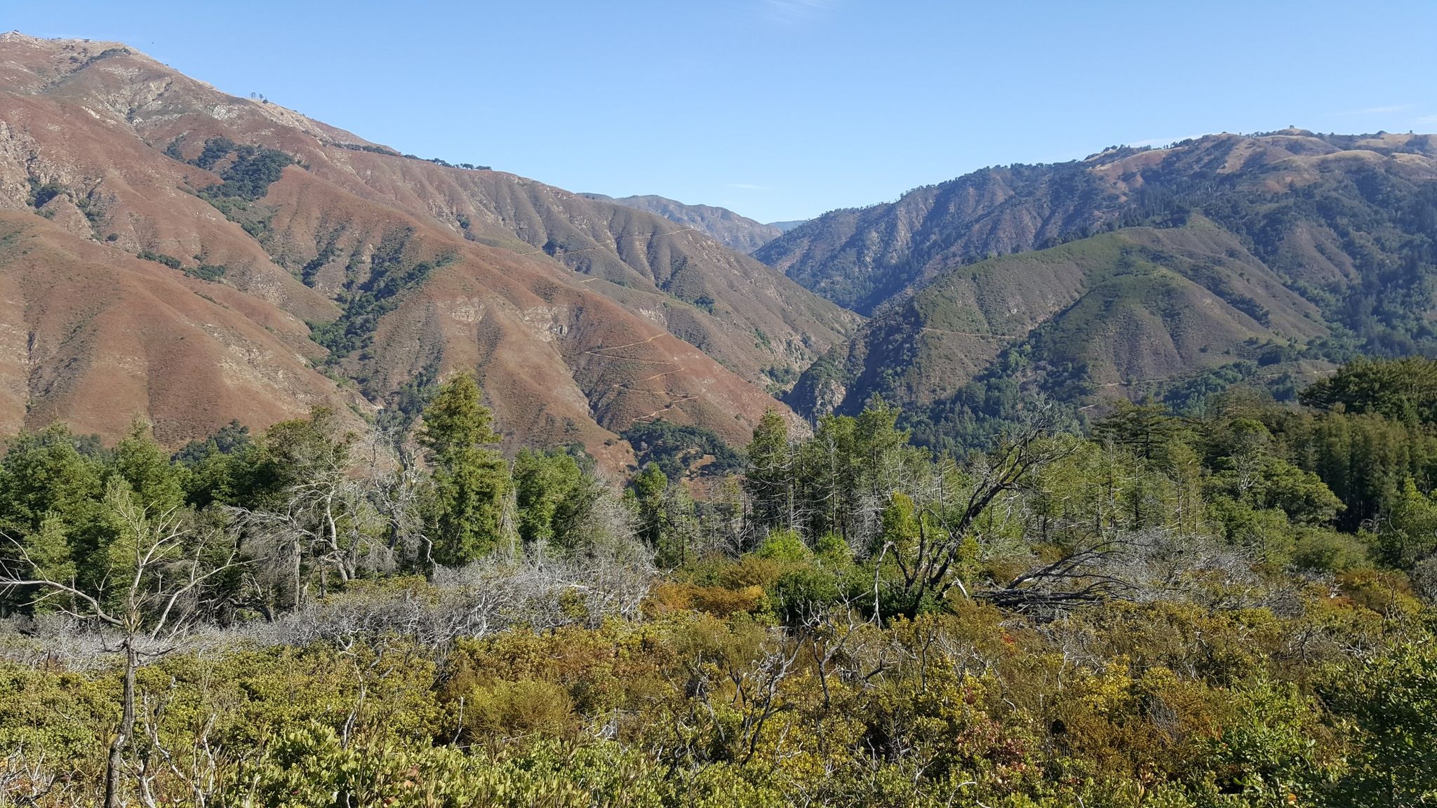 Rolling, forested mountains and valleys under a clear blue sky. - Buzzards Roost Trail