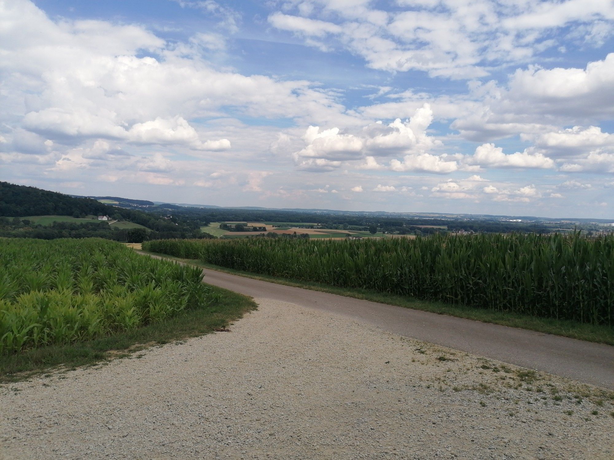 mega ausblick