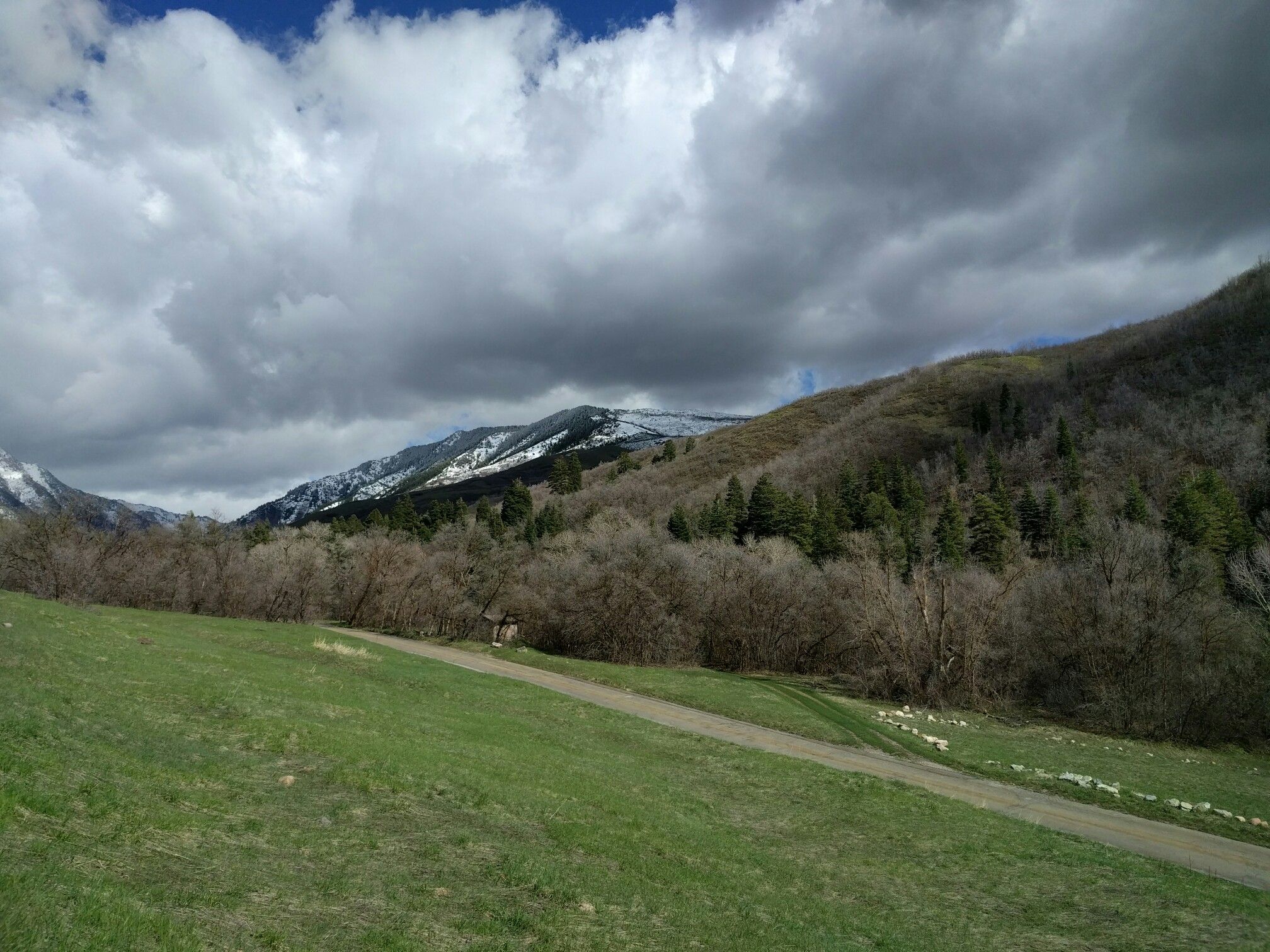 A dirt path through a green field leading to forested hills under cloudy skies. - City Creek Trail