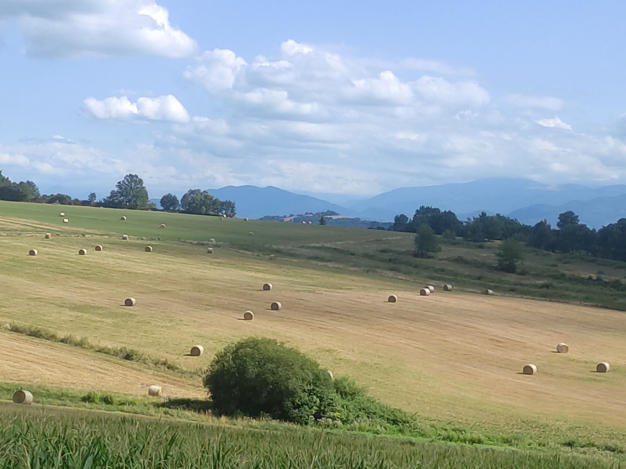 un joli paysage vallonné et travaillé.