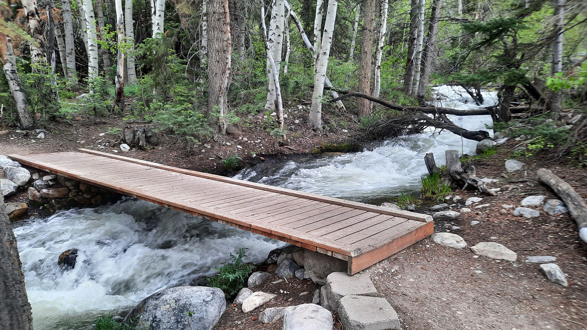 A wooden bridge crosses a rushing river in a green, wooded area. - Pole Canyon Trail