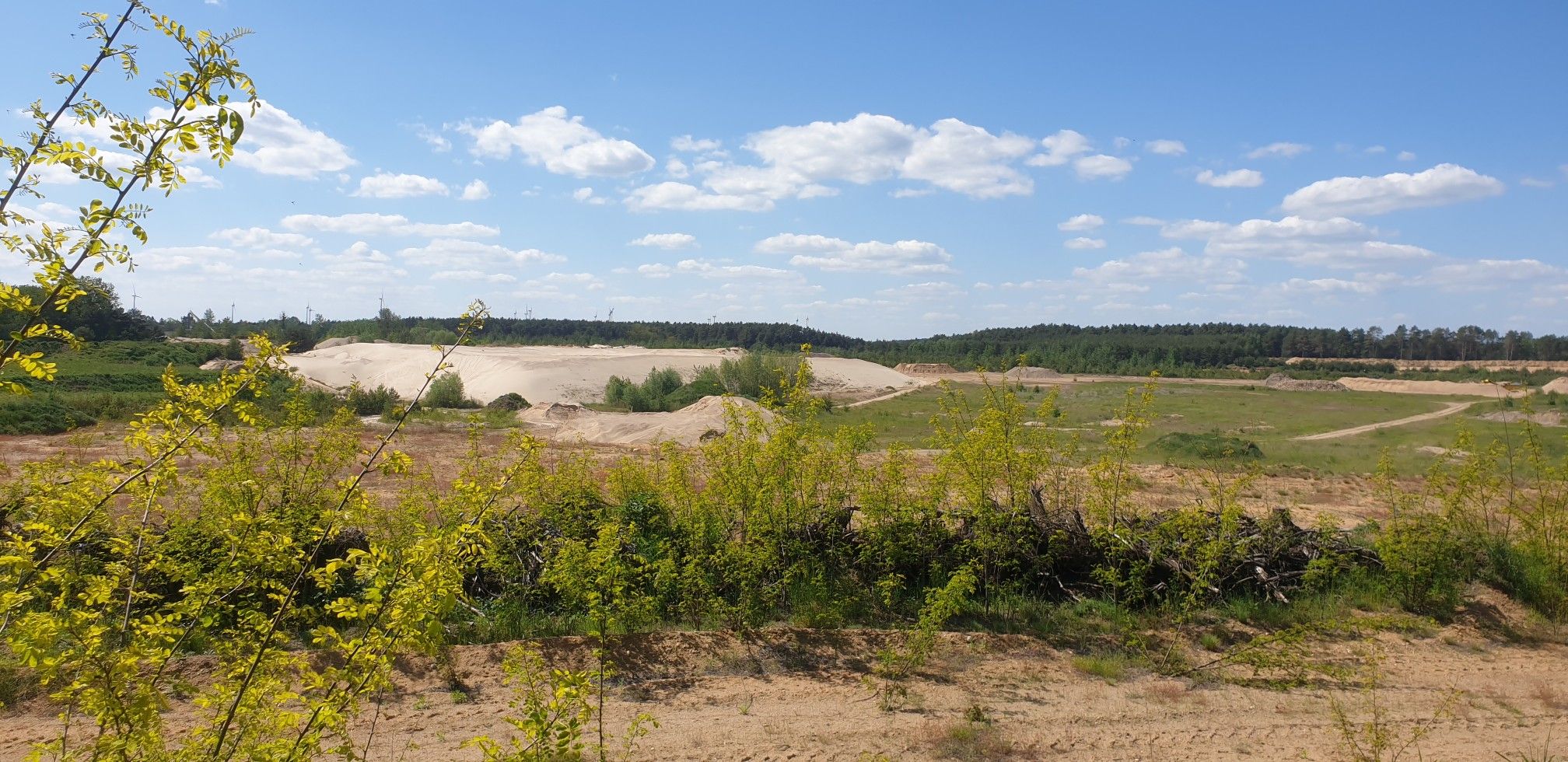 Kiesgrube 