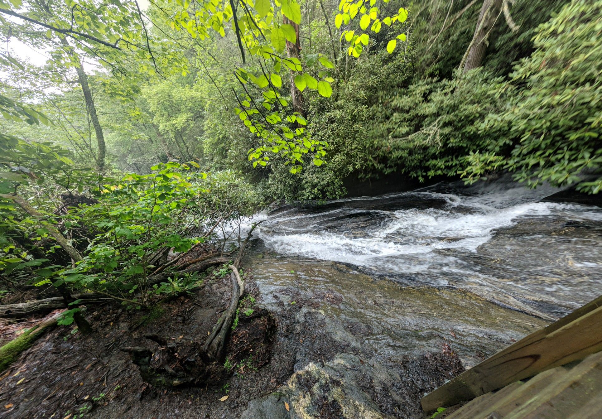 Rushing river flows through a lush green forest on an overcast day. - Glen Falls loop from Glen Falls