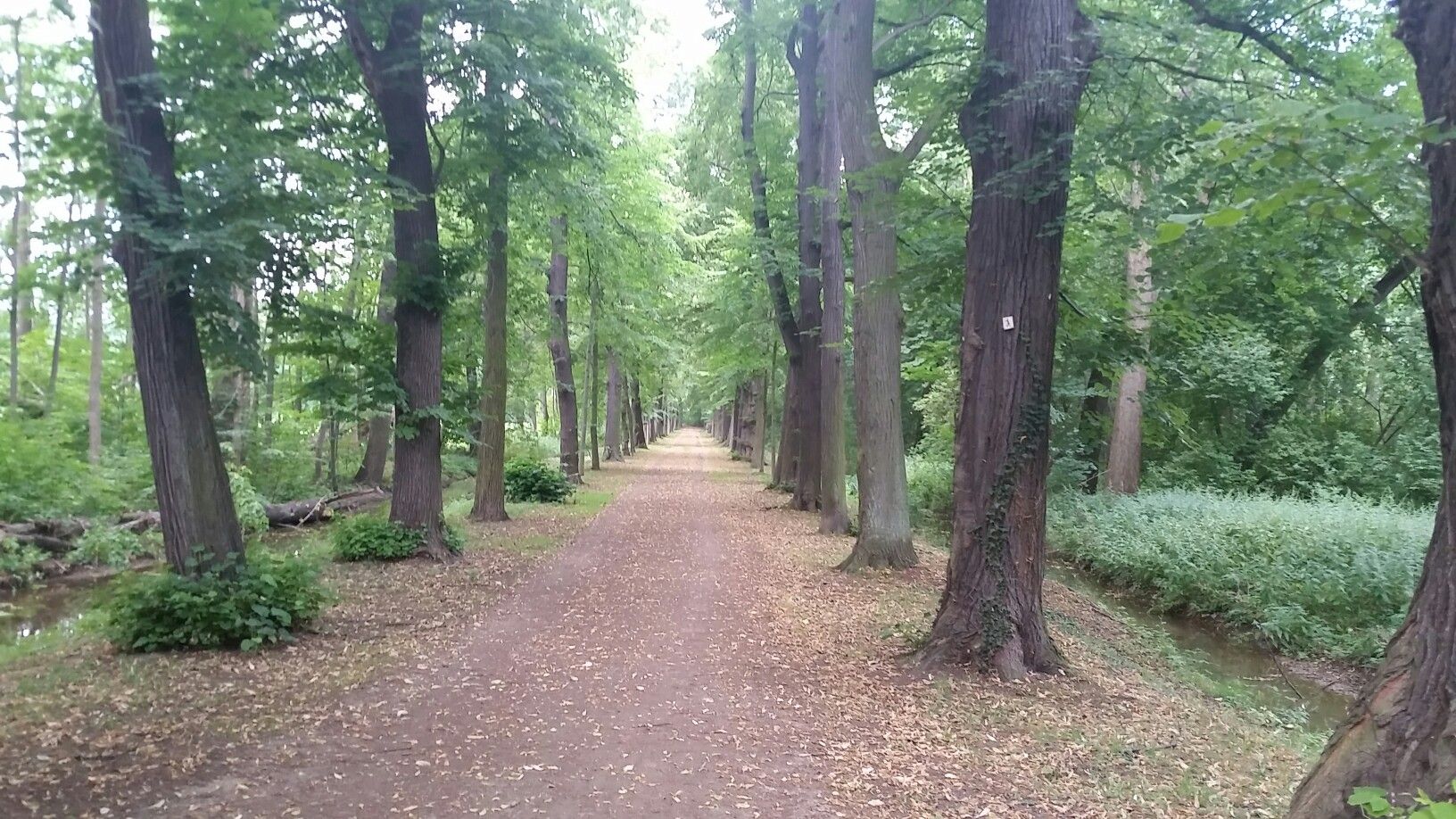 Herrliche wege im Tal (Sommerhitze)