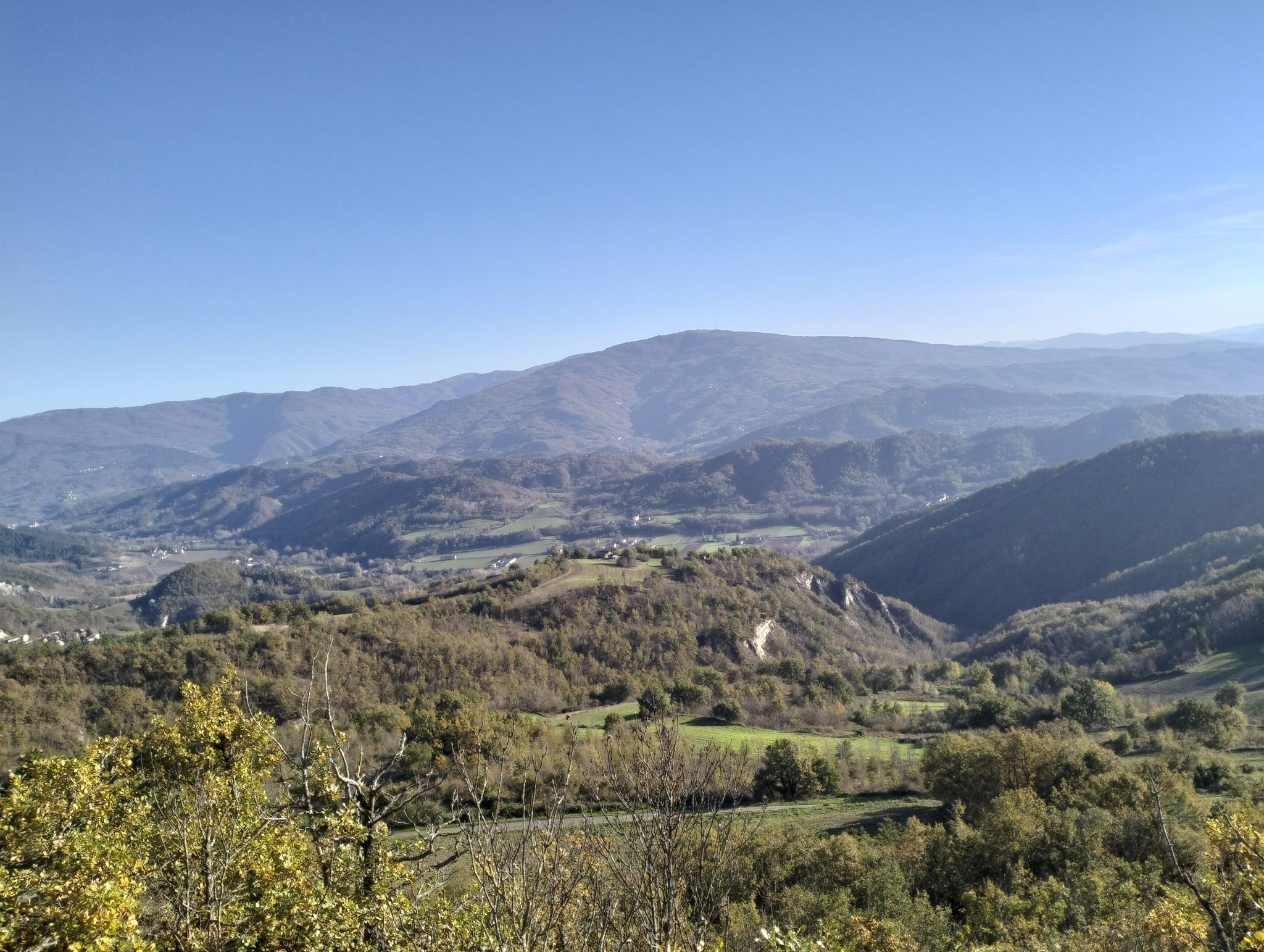 monte