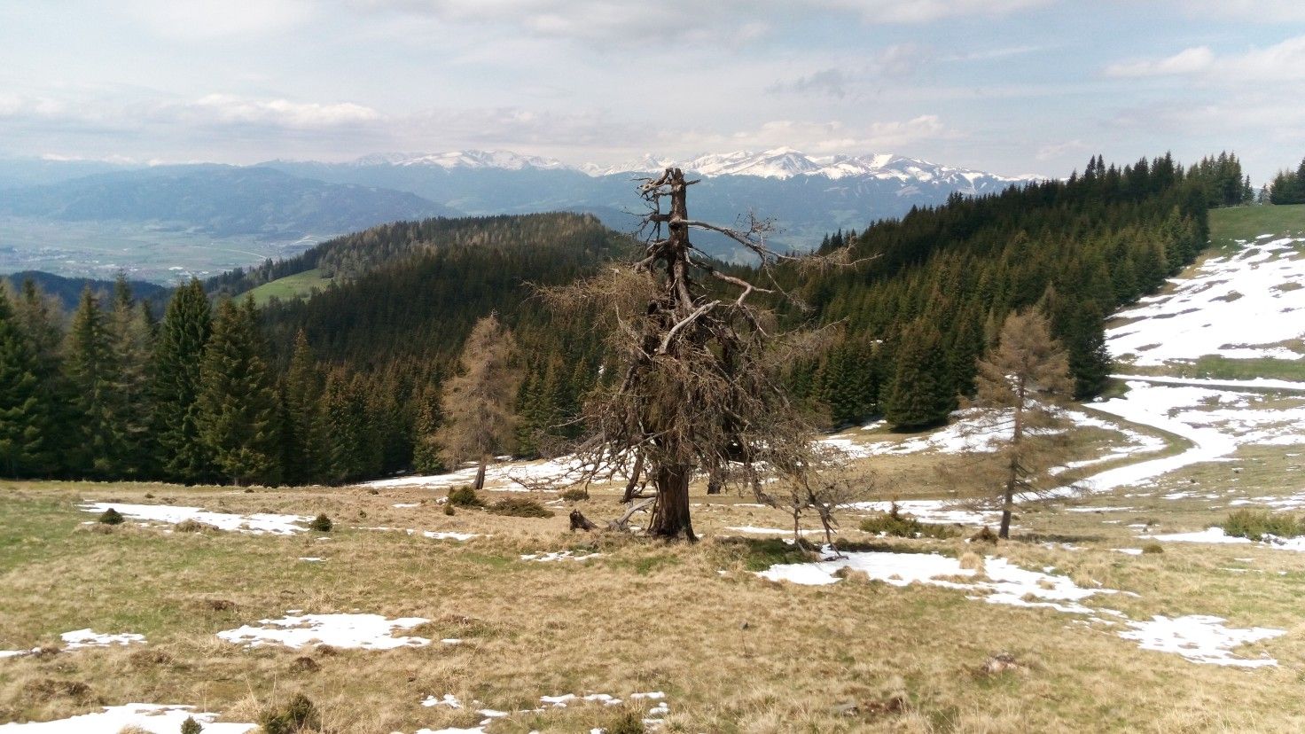 Murtalblick - Steinplan