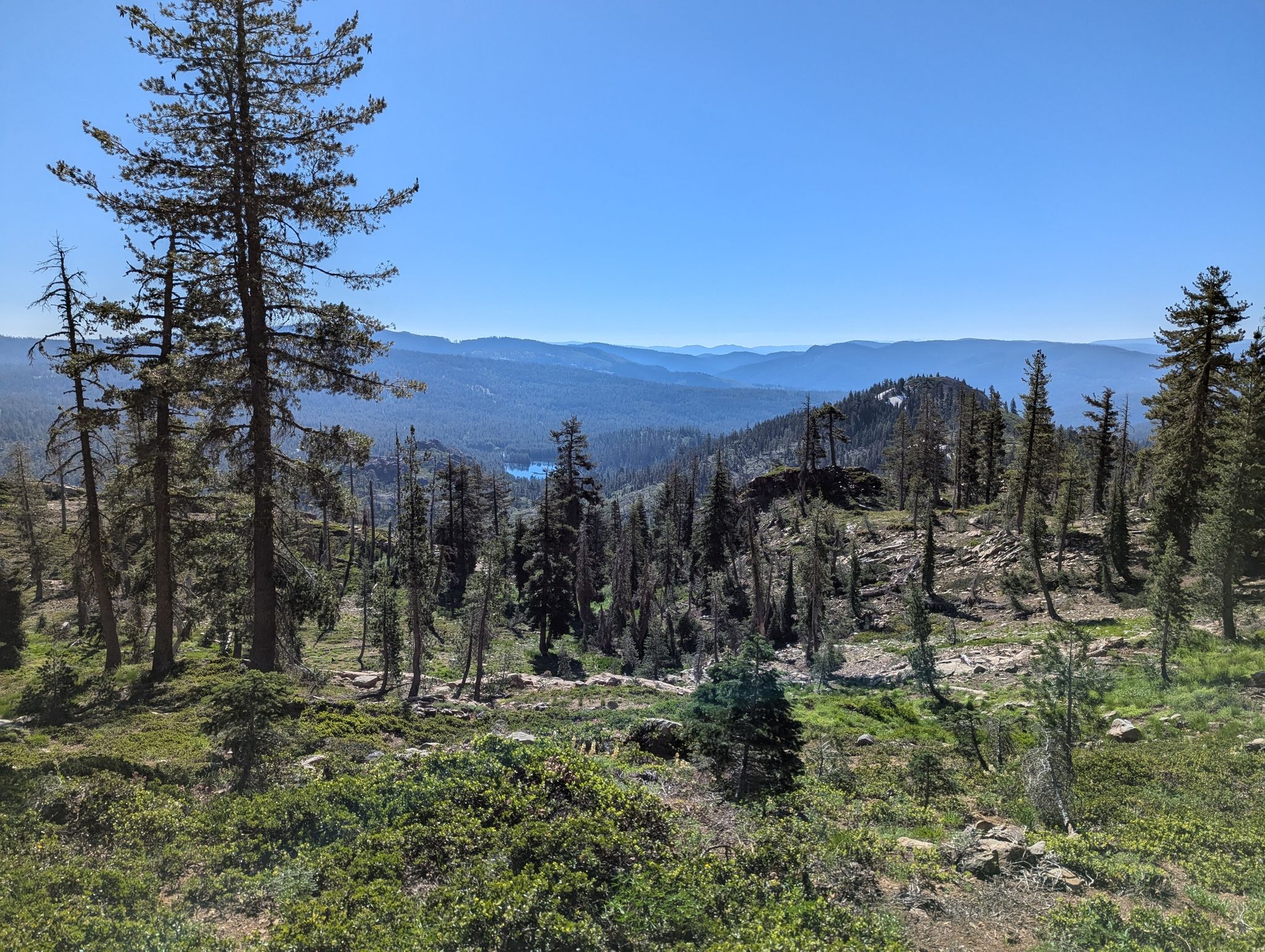 Expansive mountain forest landscape with a distant lake under a clear blue sky. - Pacific Crest Trail and Round Lake Trail to Deer Lake