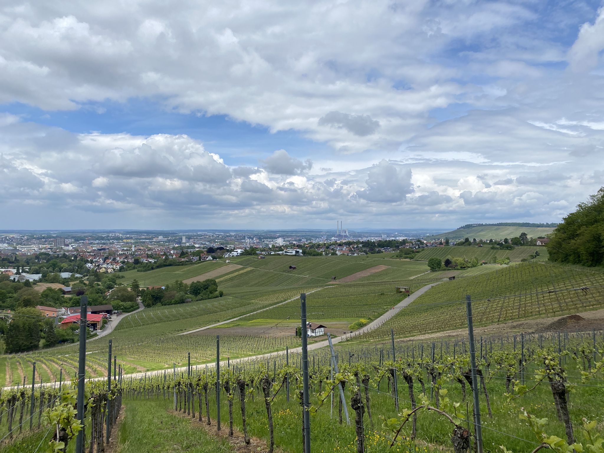 Am Gaffenberg