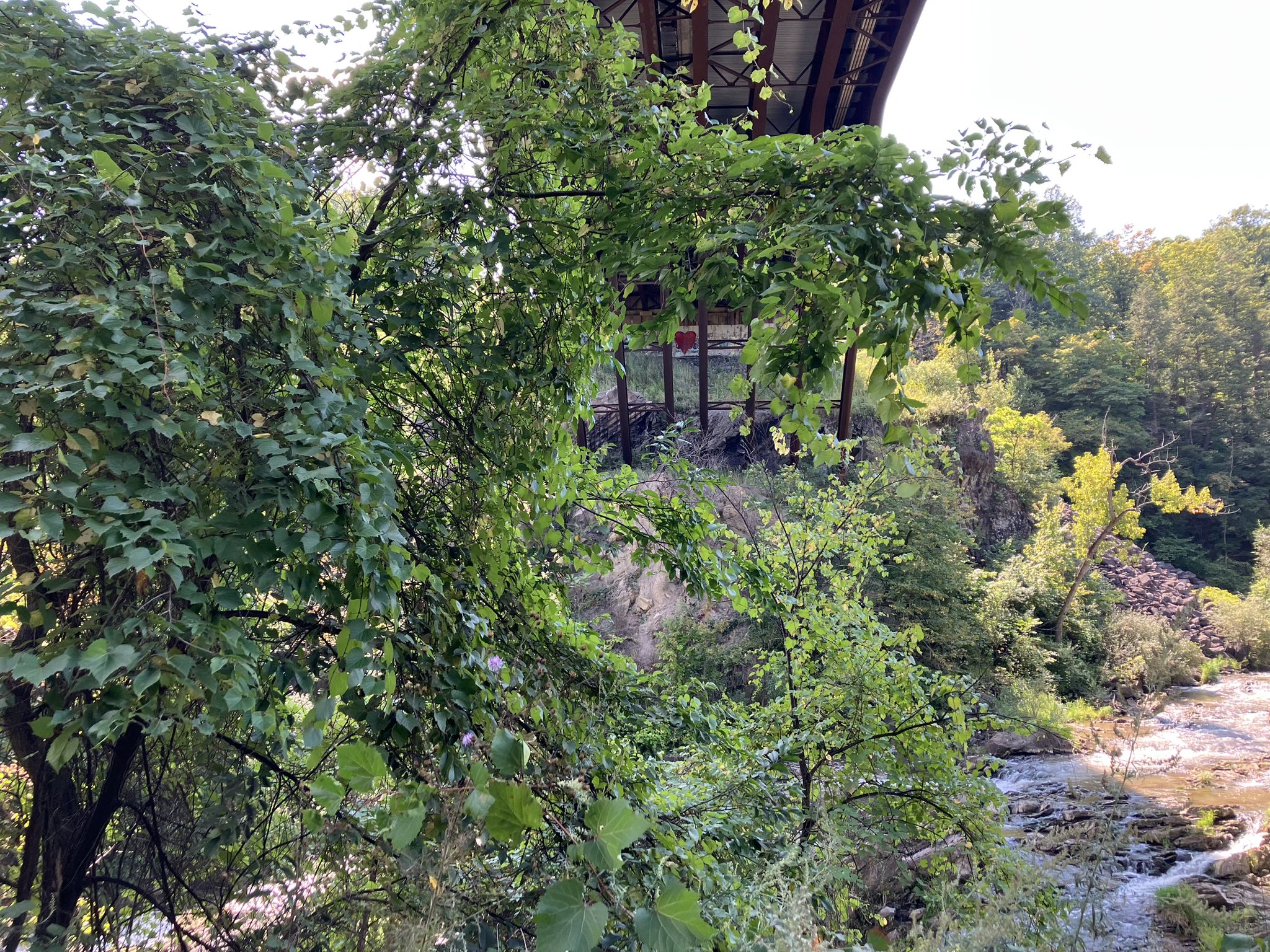 Lush green trees frame a bridge over a rocky river on a sunny day. - Albany County Helderberg-Hudson Rail Trail