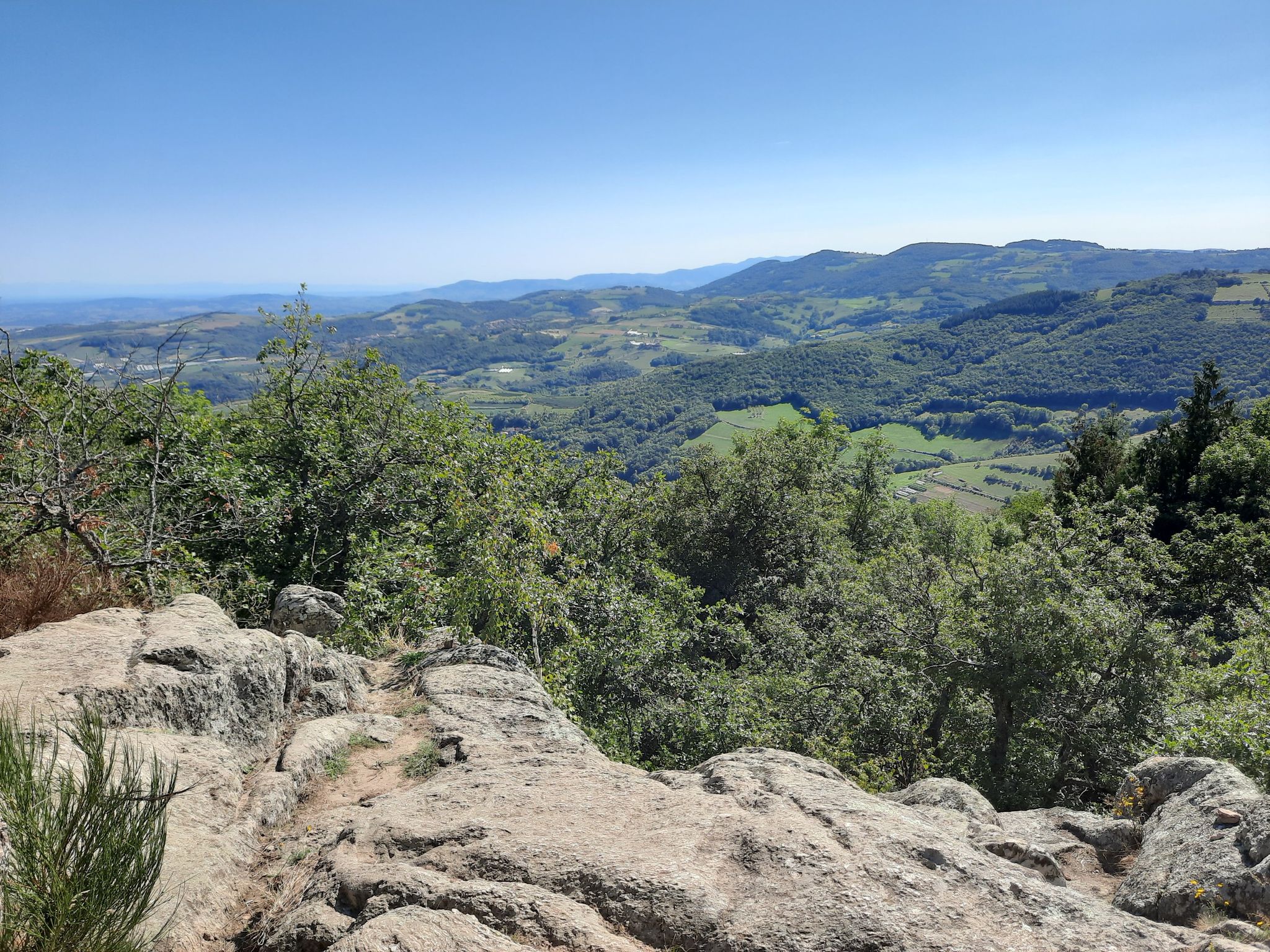 Pano