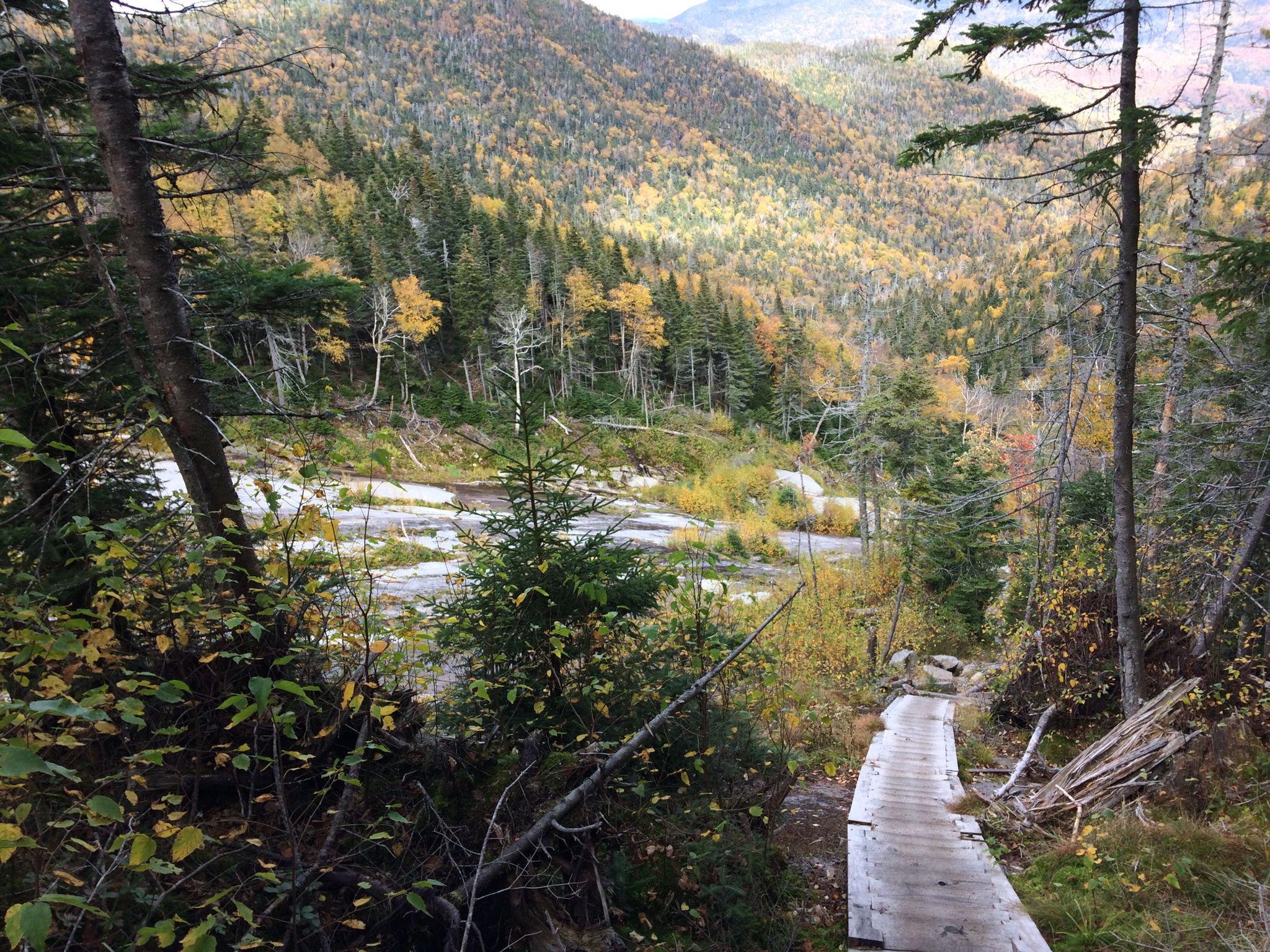 Wooden boardwalk next to a river in a valley with autumn trees. - Lower/Upper Wolfjaw, Armstrong, Gothics, and Saddleback Loop Trail