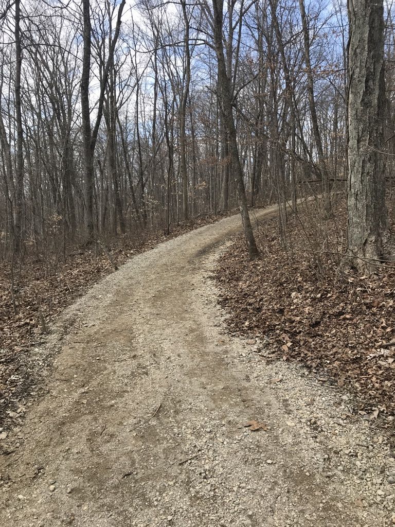 A winding dirt path ascends through a forest of bare trees. - Blackburn/Wesner Bridge – Slate Run Creek loop from Slate Run Metro Park