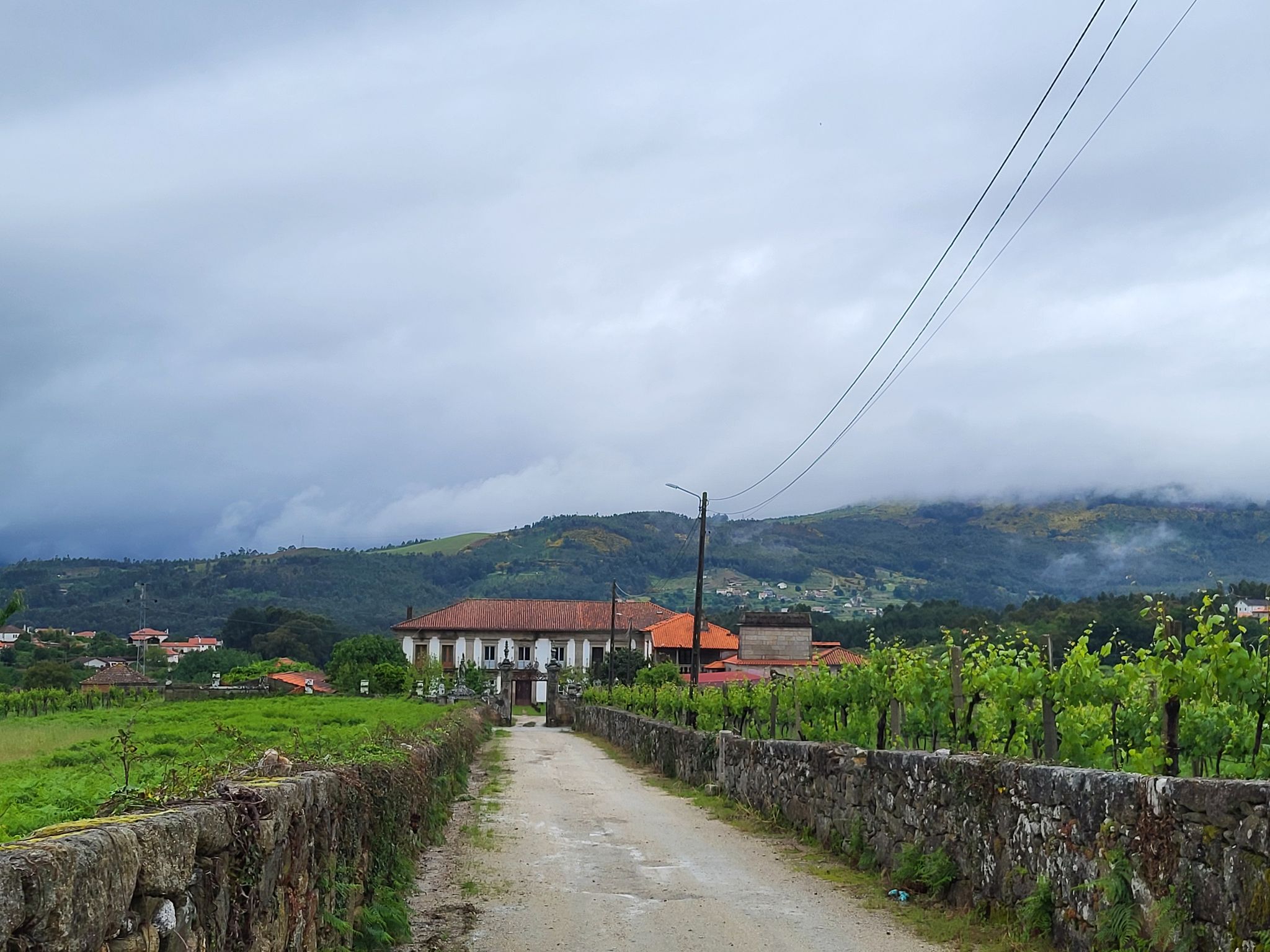 Altes Weingut