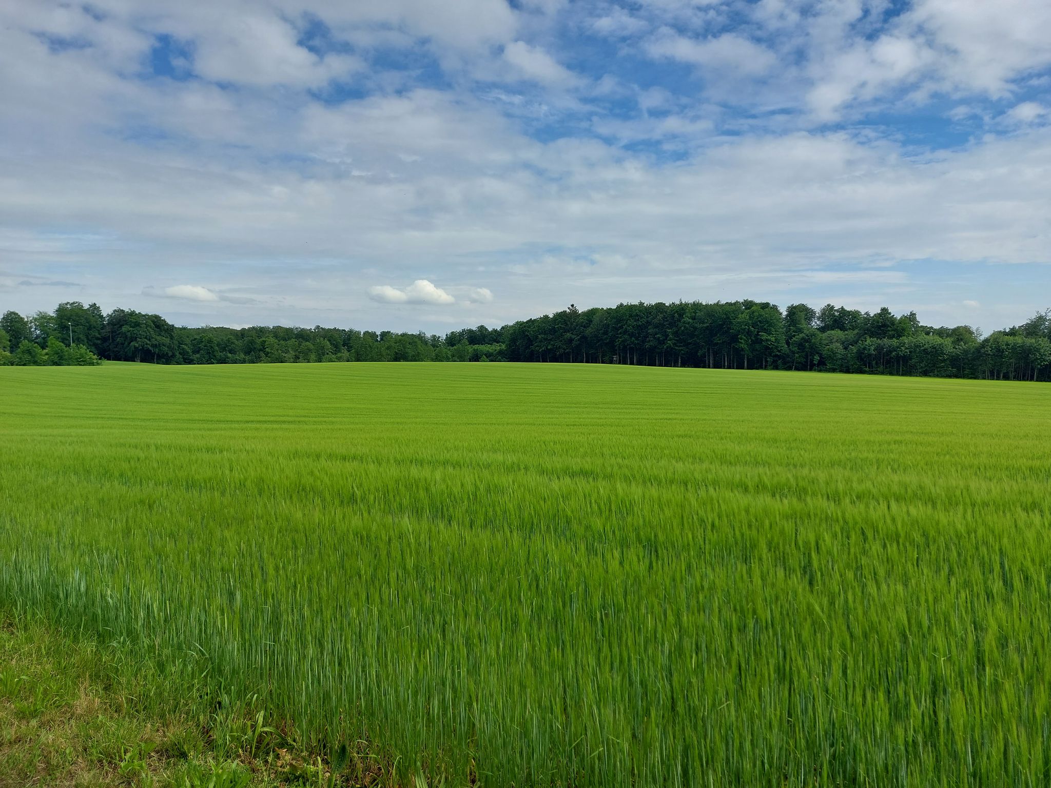 oben in Heiligenberg