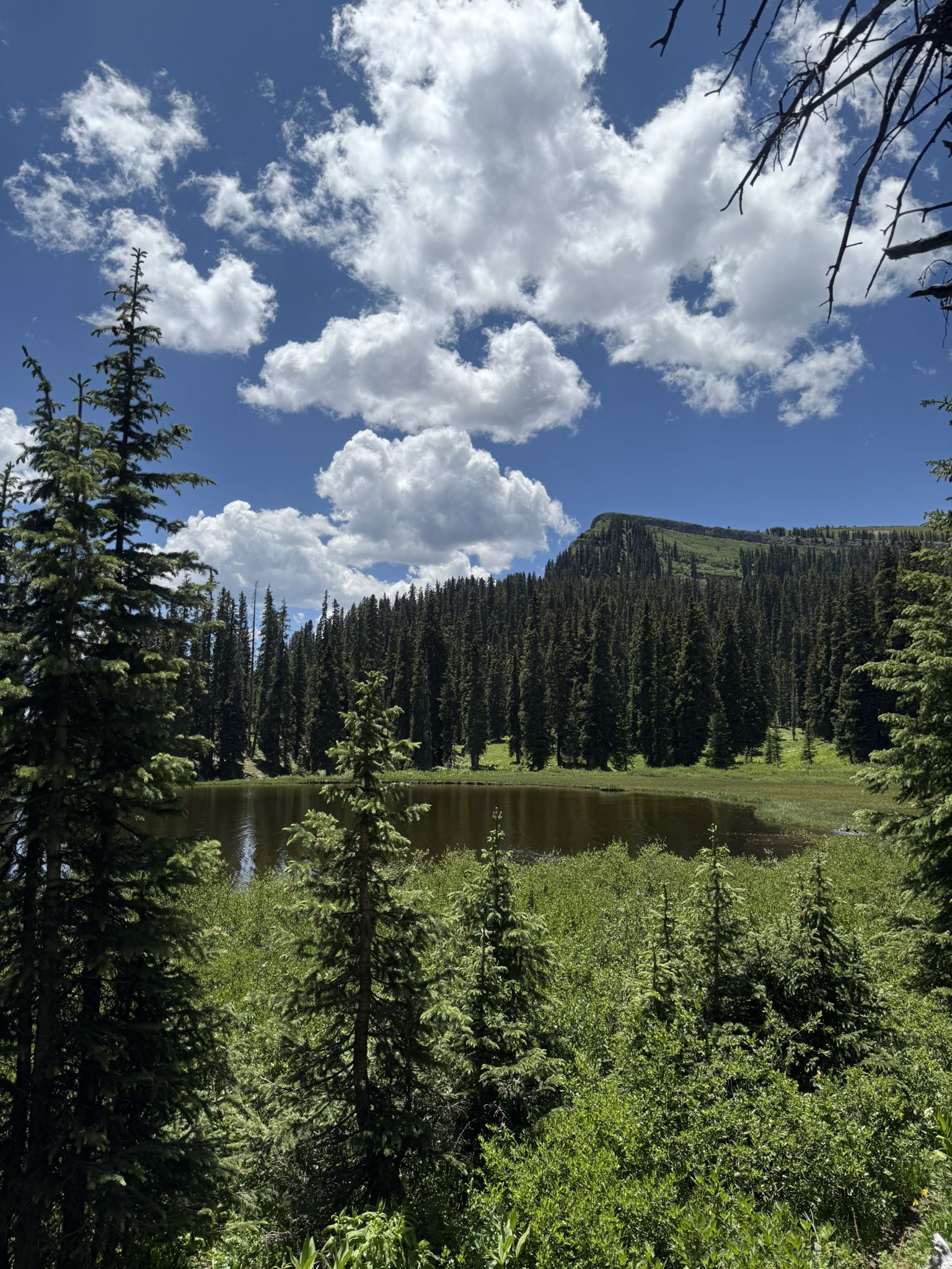 A calm lake surrounded by lush green forest and a mountain under a bright sky. - Pass Trail to Engineer Mountain Trail