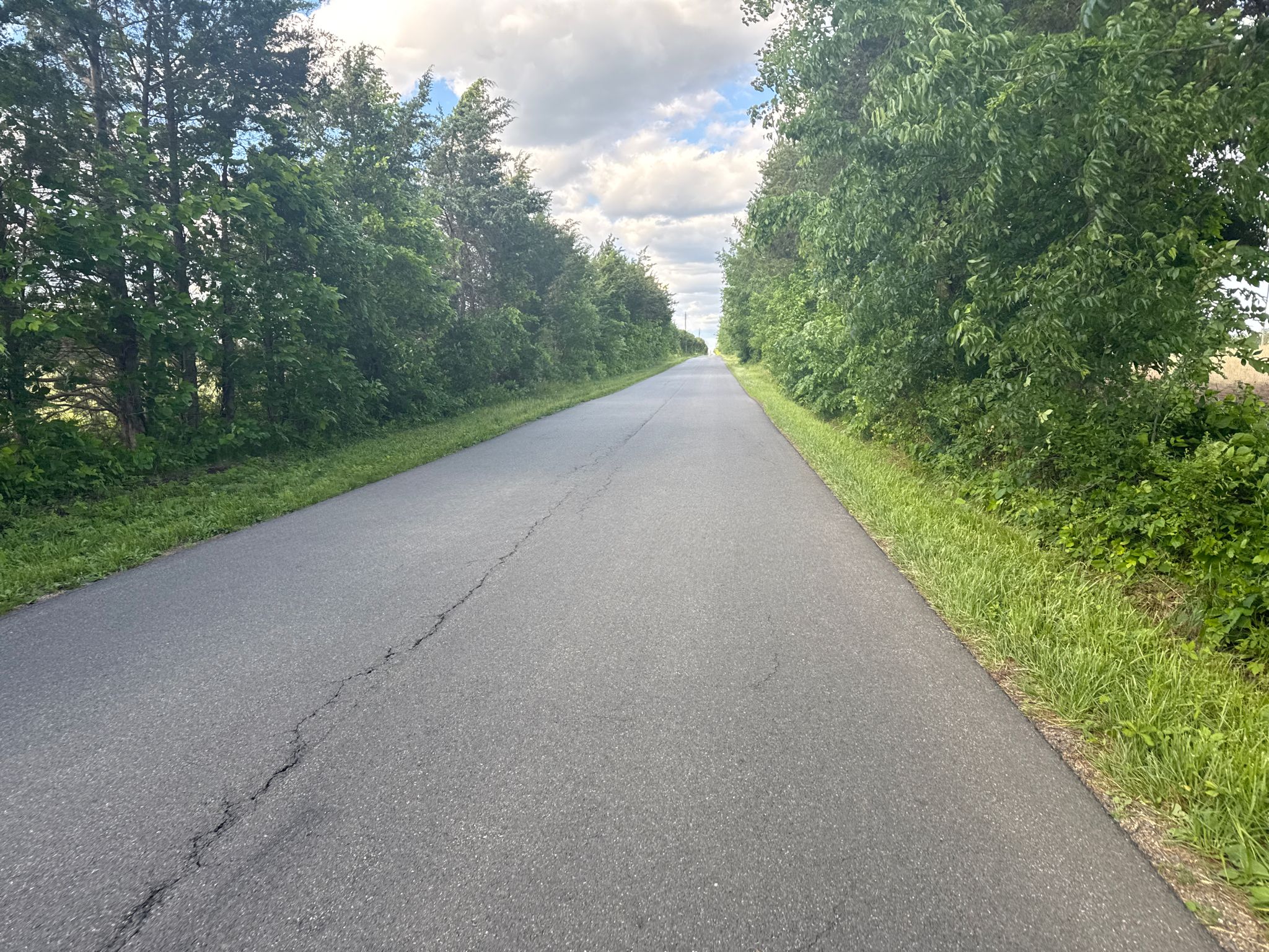 Paved road stretching into the distance, lined by green trees under a cloudy sky. - Remington to Kelly's Ford loop