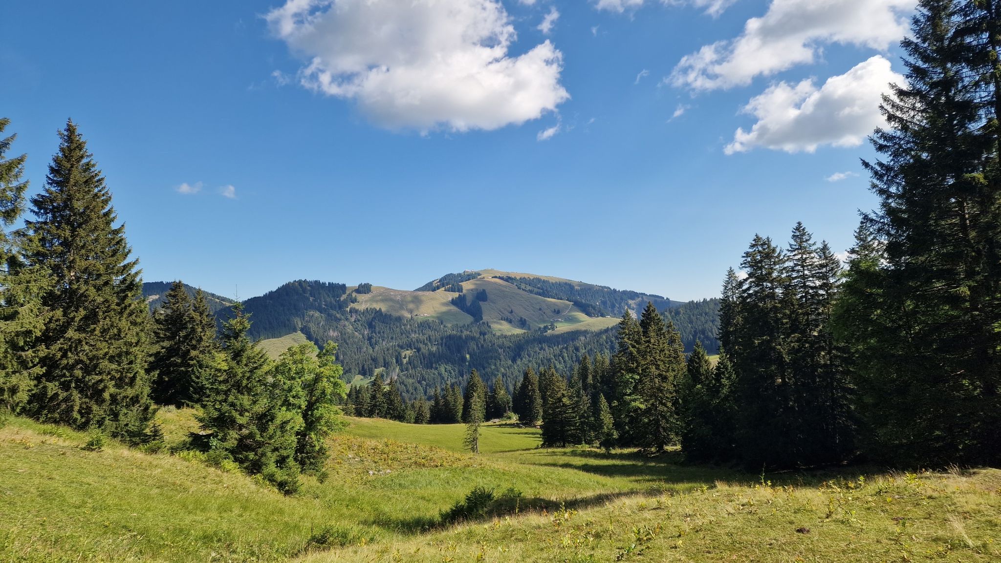Ausblick 