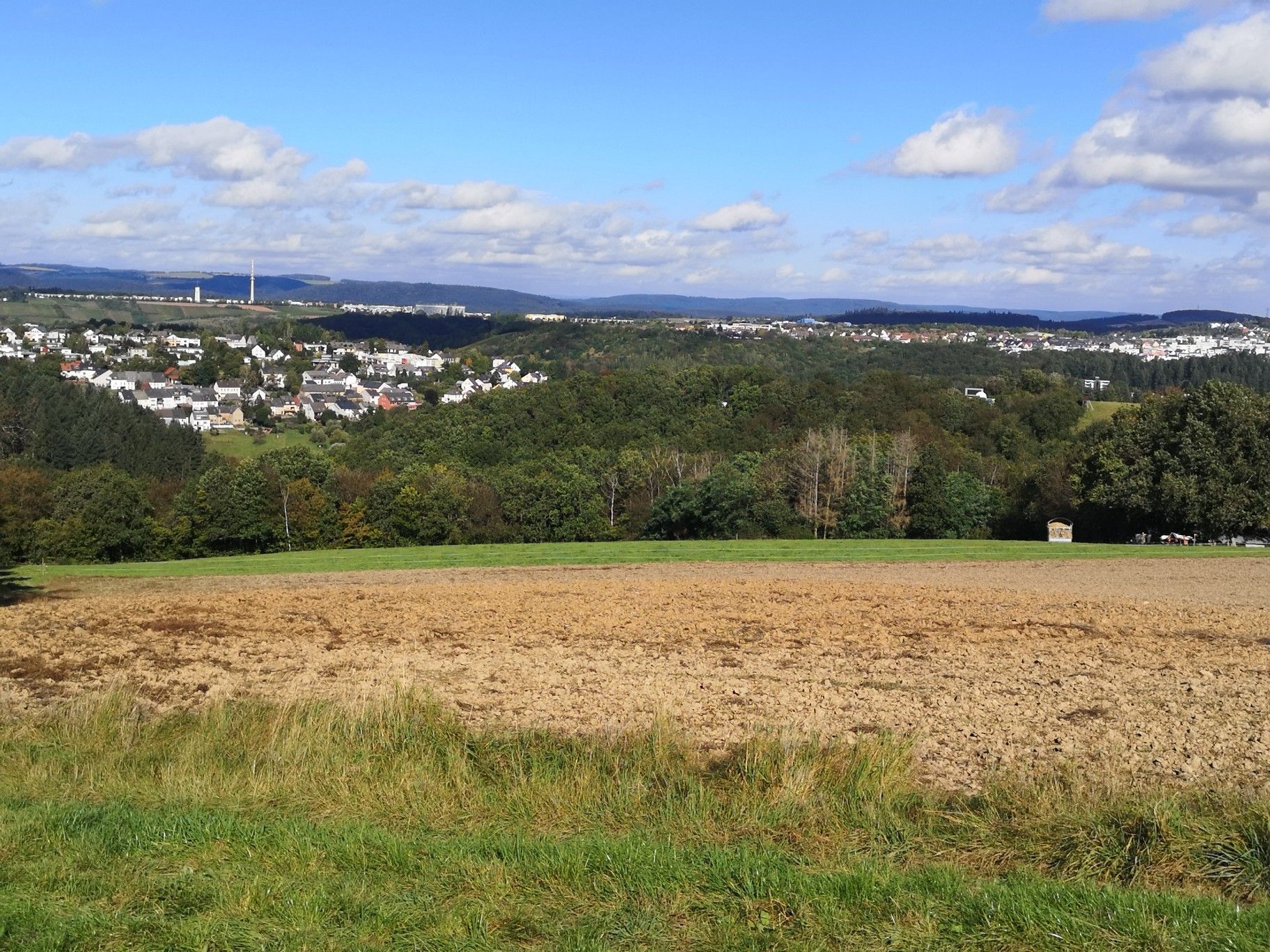 Petrisberg
