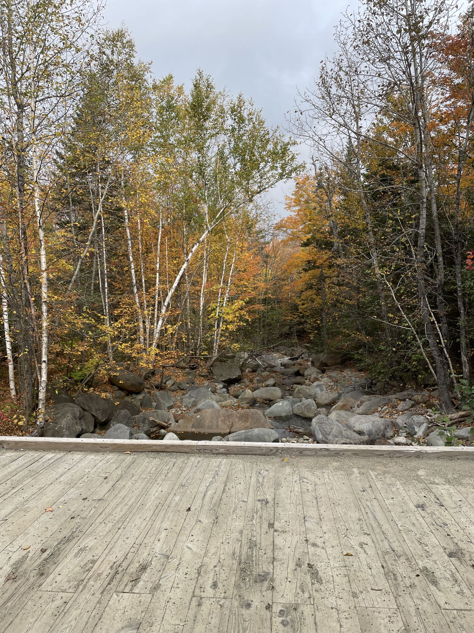 Wooden deck overlooks a rocky stream bed surrounded by colorful autumn trees. - Snowbrook Trail Loop