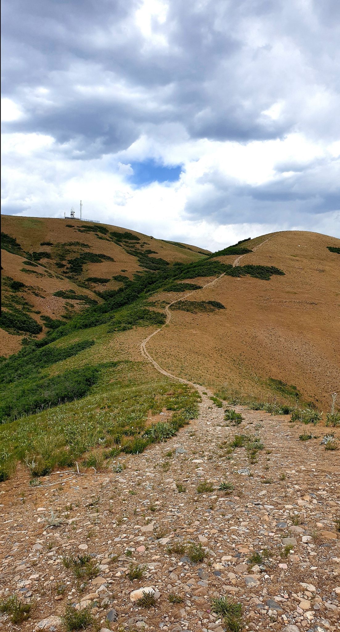 Dirt trail winding through dry, green hills under a cloudy sky. - Ensign Ridge Trail