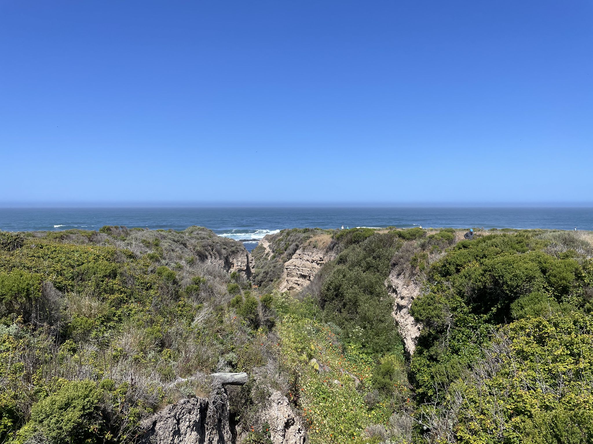 Overcast ocean view beyond a deep, green, rocky canyon. - Along waterfront loop from Point Buchon Check-in Station