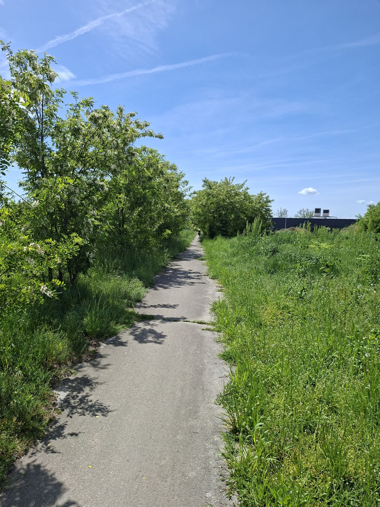 Bei Vukovar