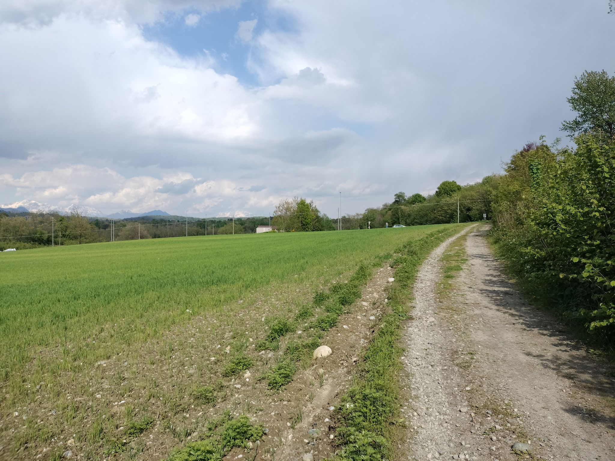 Strada sterrata a Cucciago.
