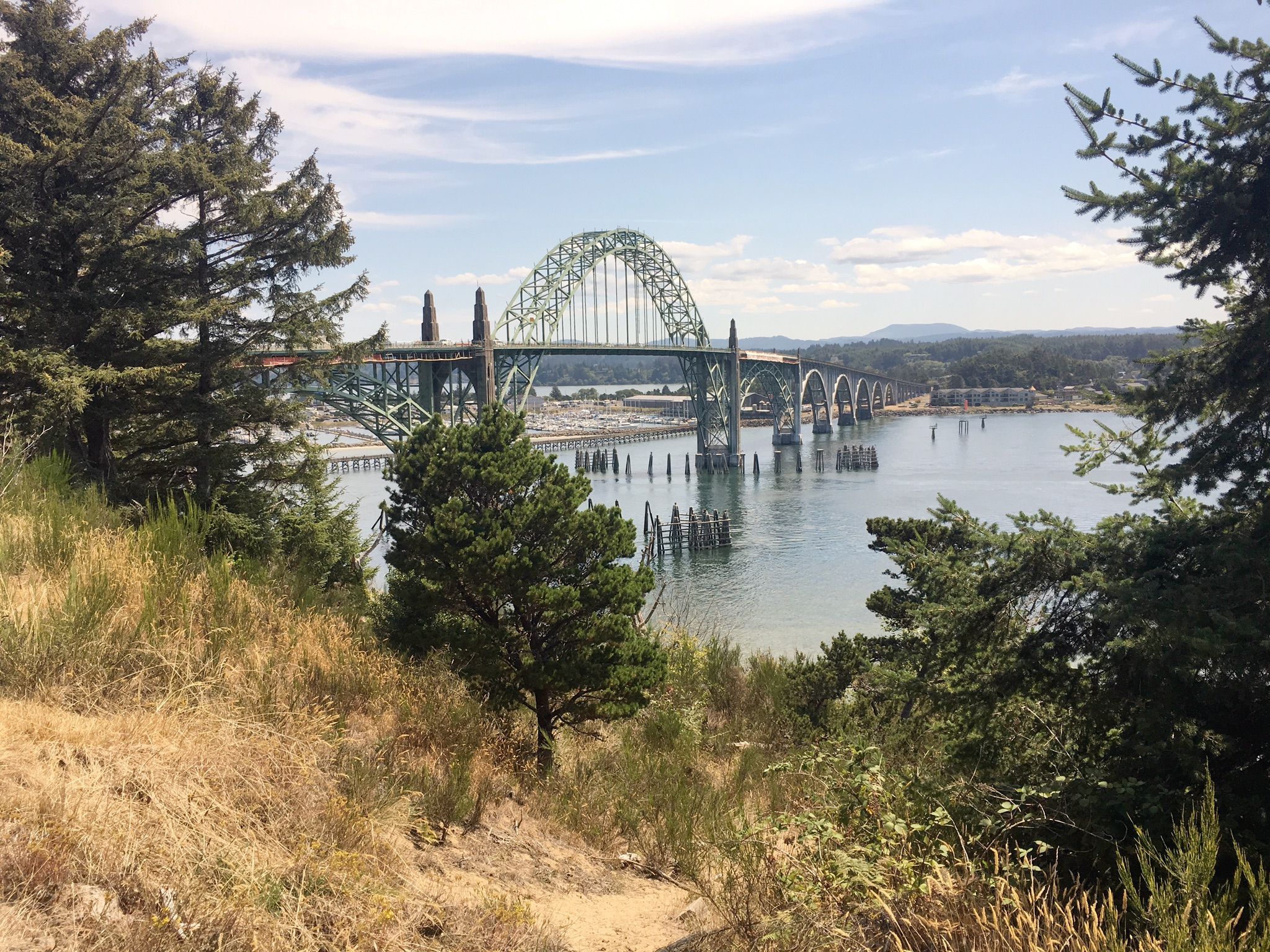 Green arched bridge spans wide river, framed by trees under cloudy sky. - Yaquina River loop