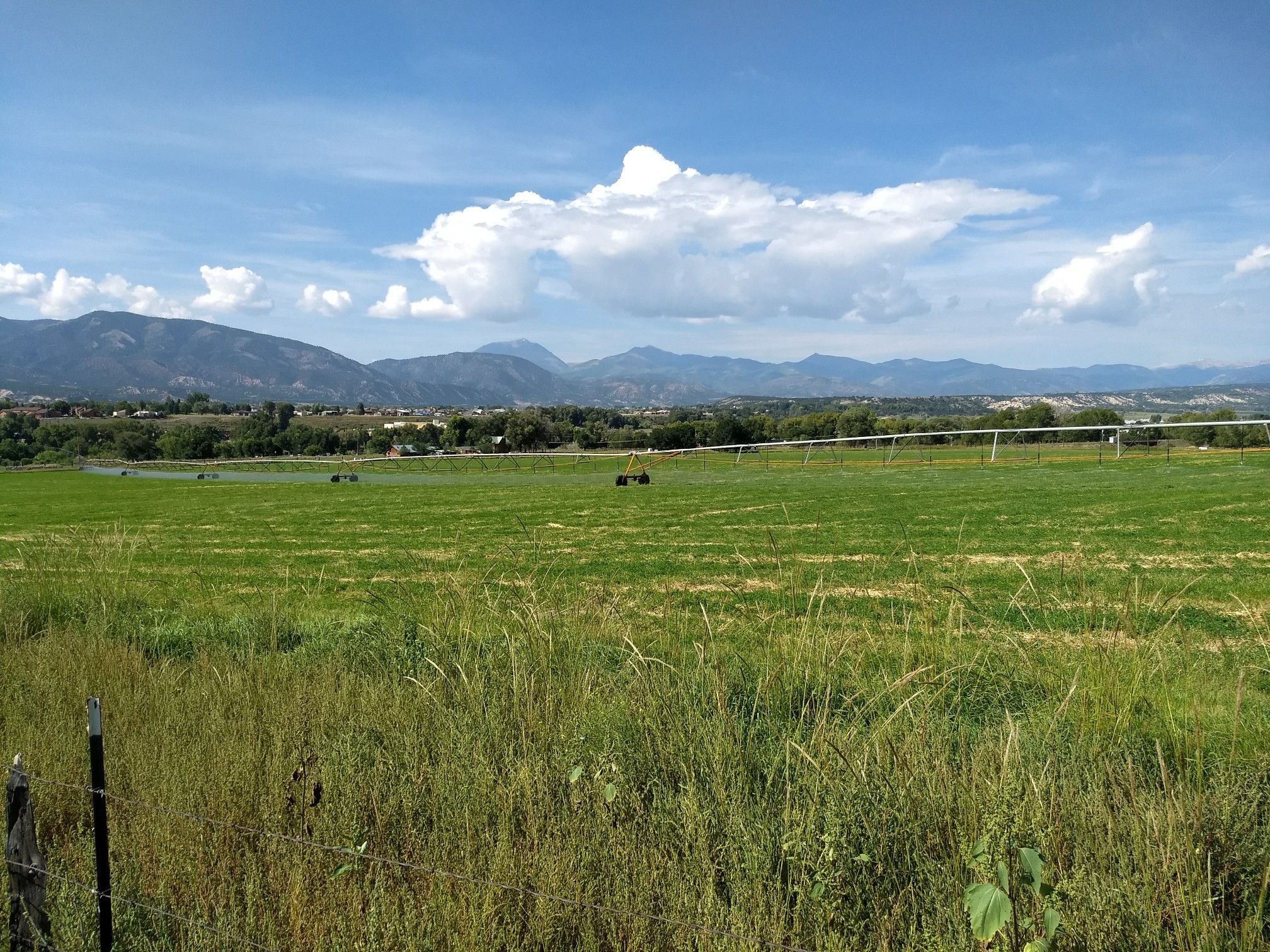 An expansive green field stretches towards distant mountains under a bright, cloudy blue sky. - The Salida River Trail – Historic Downtown Salida loop from Salida