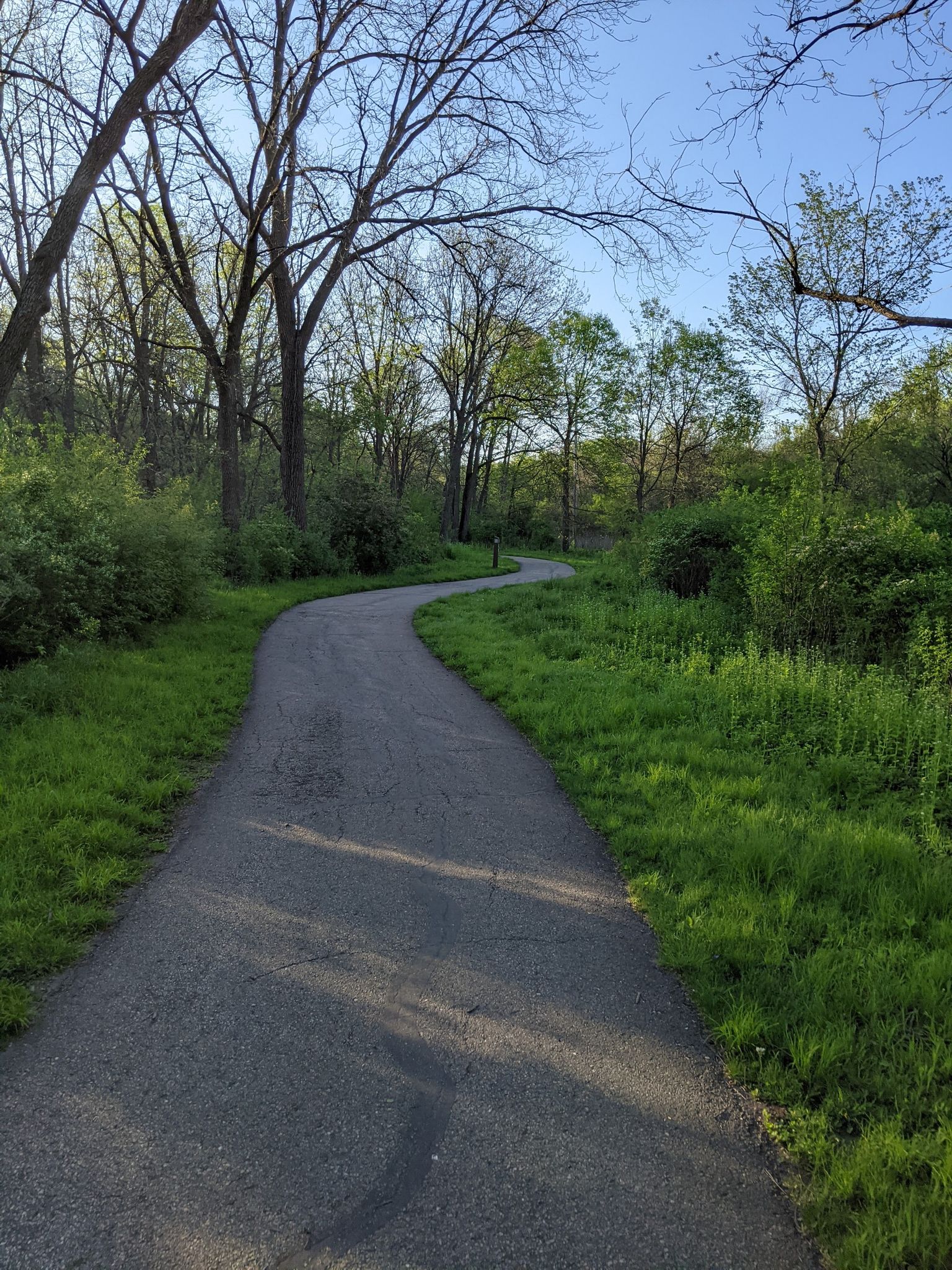 Winding paved path through a lush green wooded area under a bright sky. - Zumbro River Trail