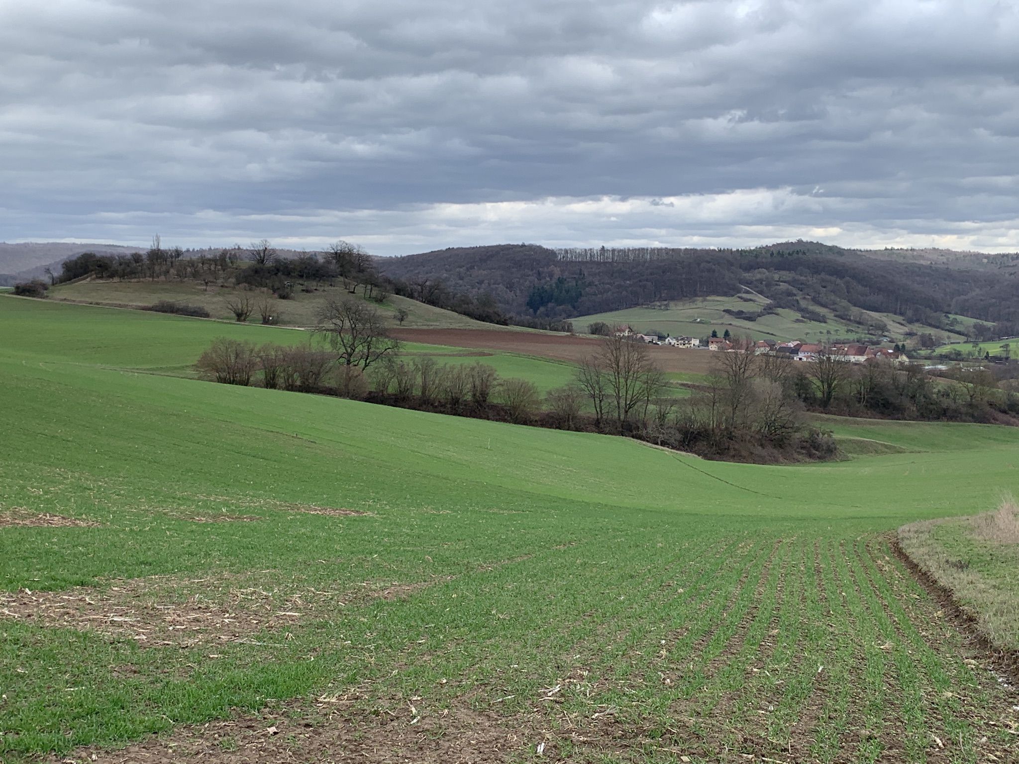 Rauchberg mit sanfter Hügellandschaft