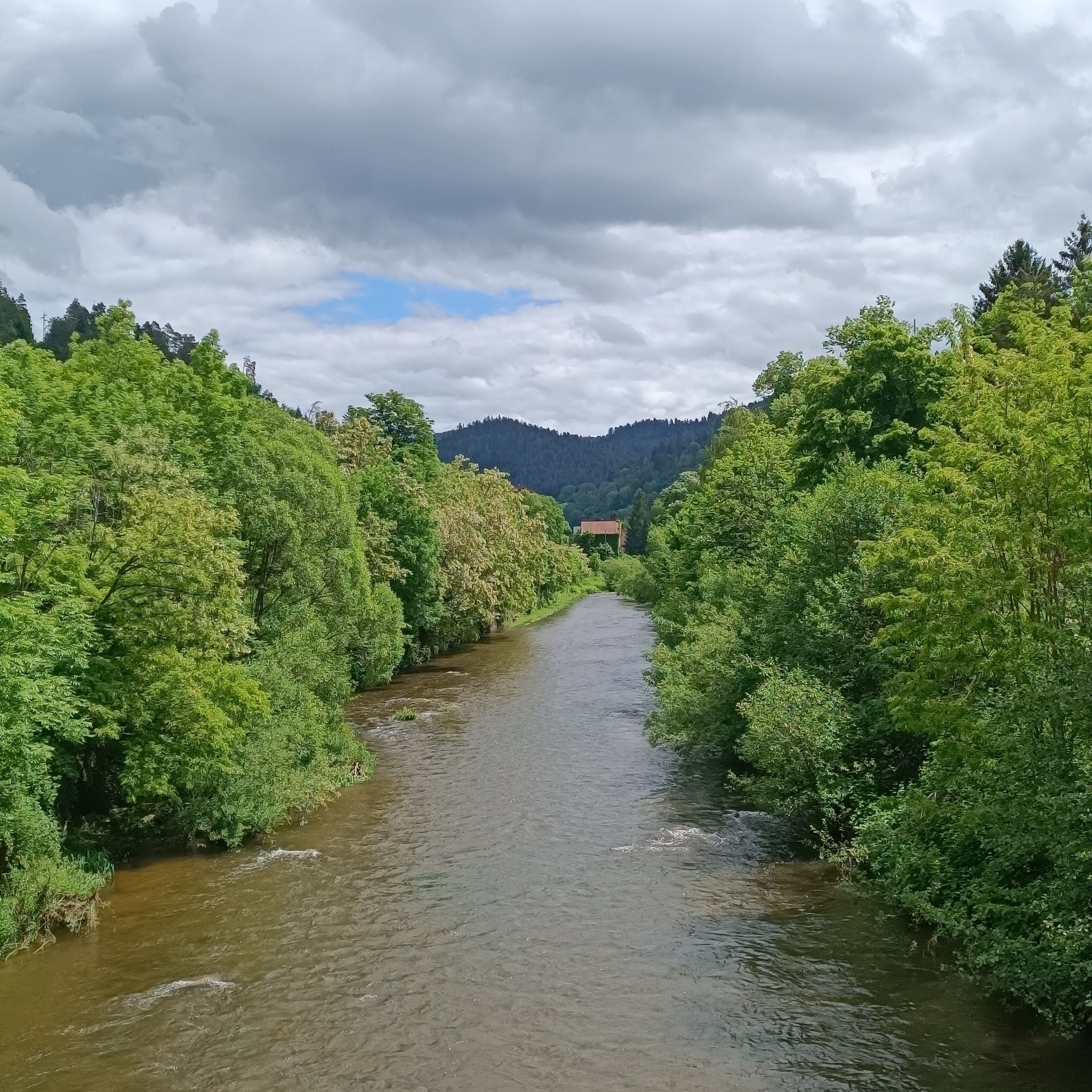 Kinzig