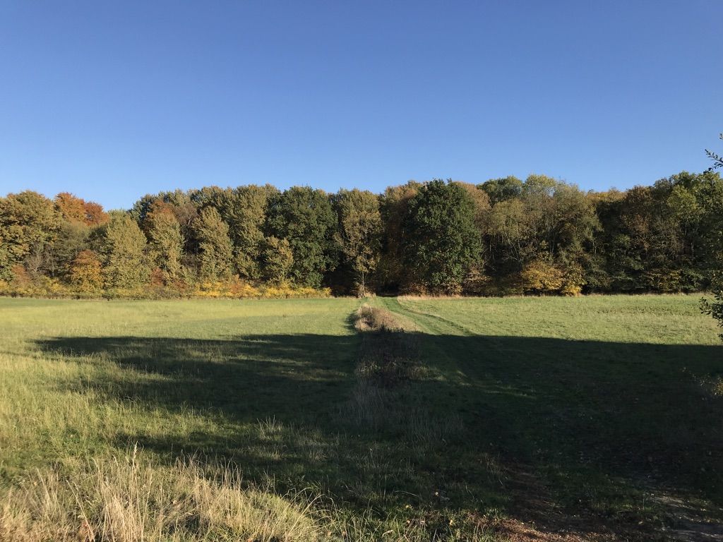 Eingang Wald 