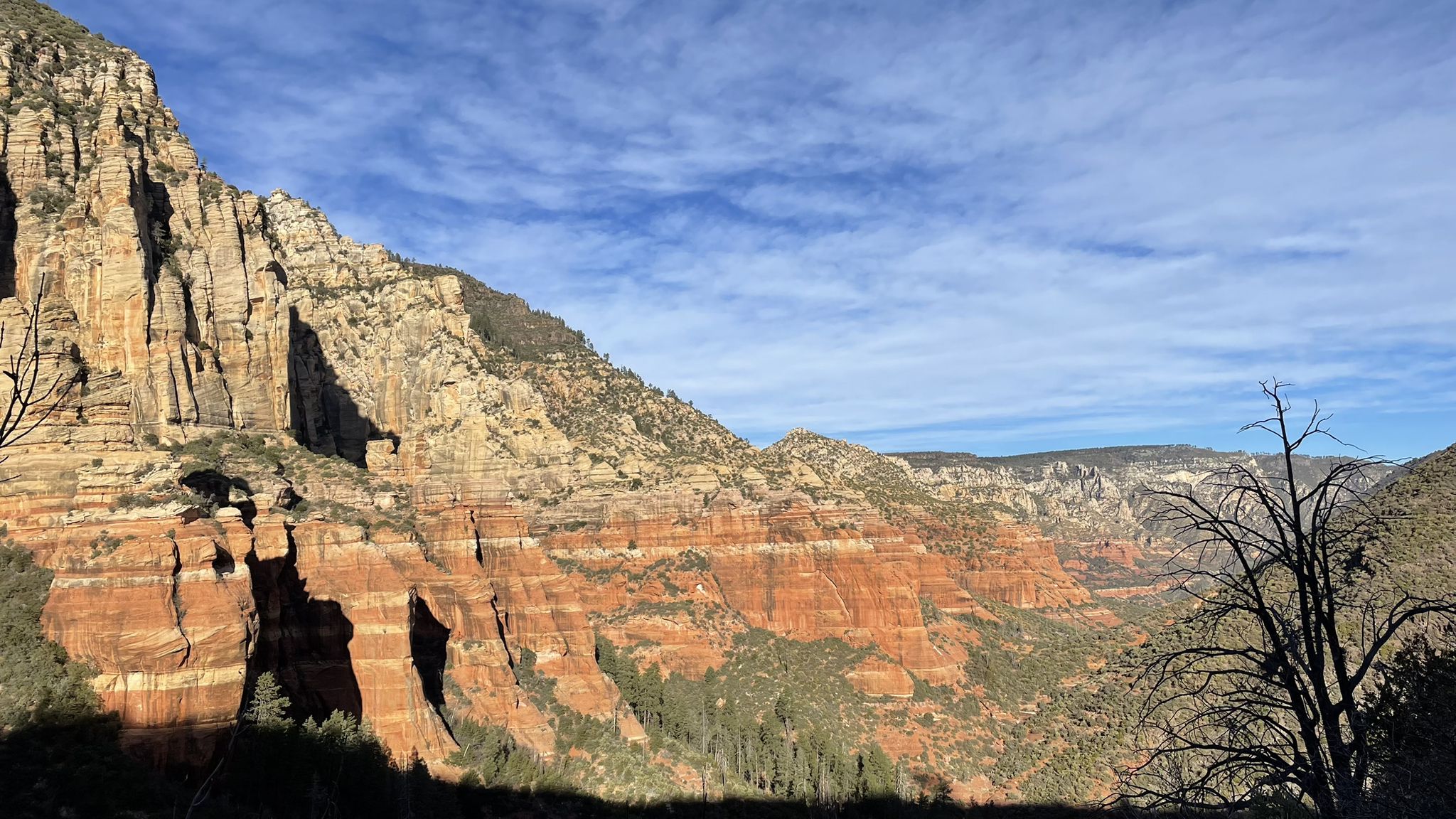 Expansive canyon view with layered red and tan rock formations under a blue sky. - North Wilson Mountain Trail
