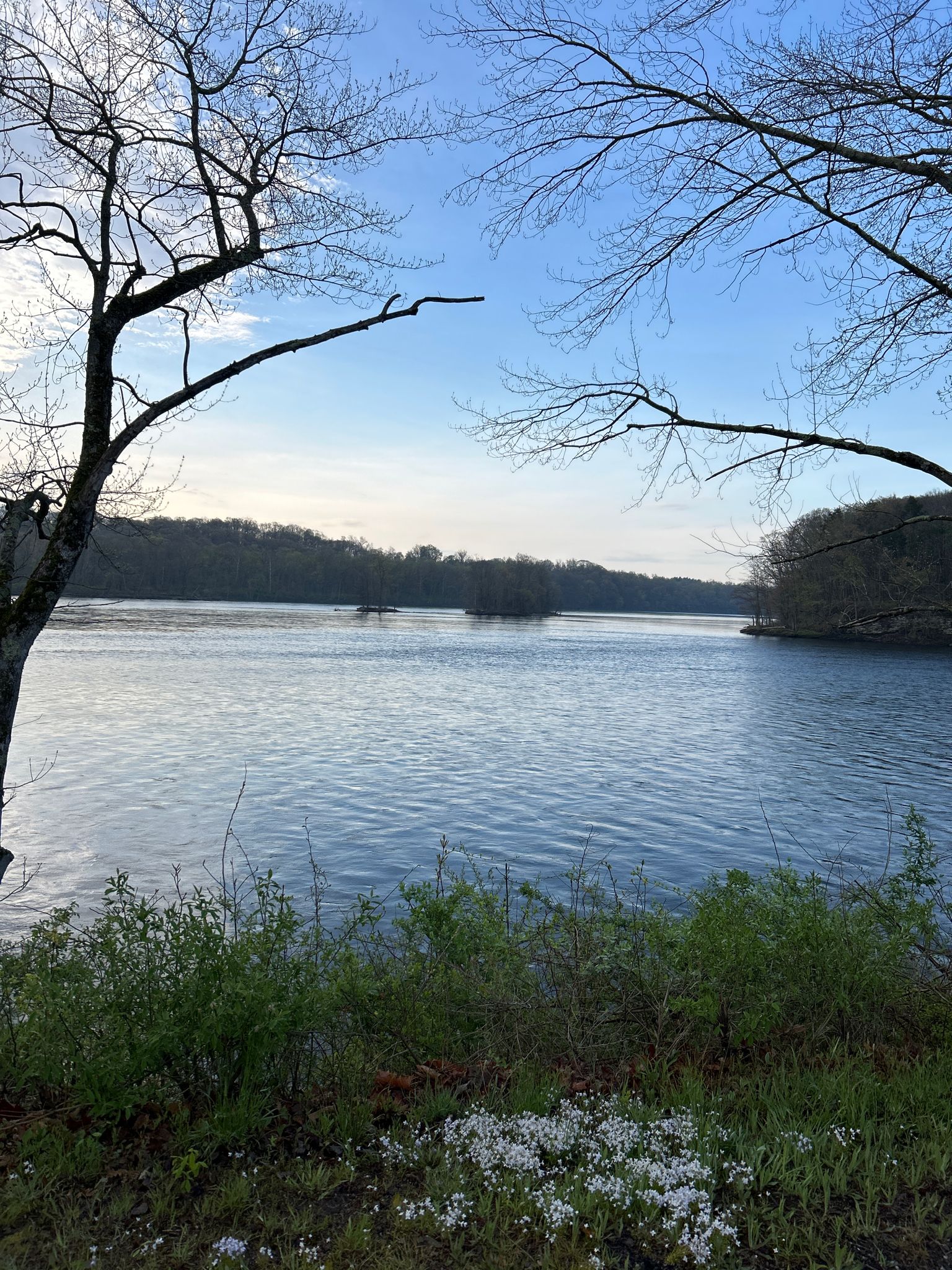 Calm lake framed by bare trees under a soft blue sky. - Windsor Locks Canal State Park Trail